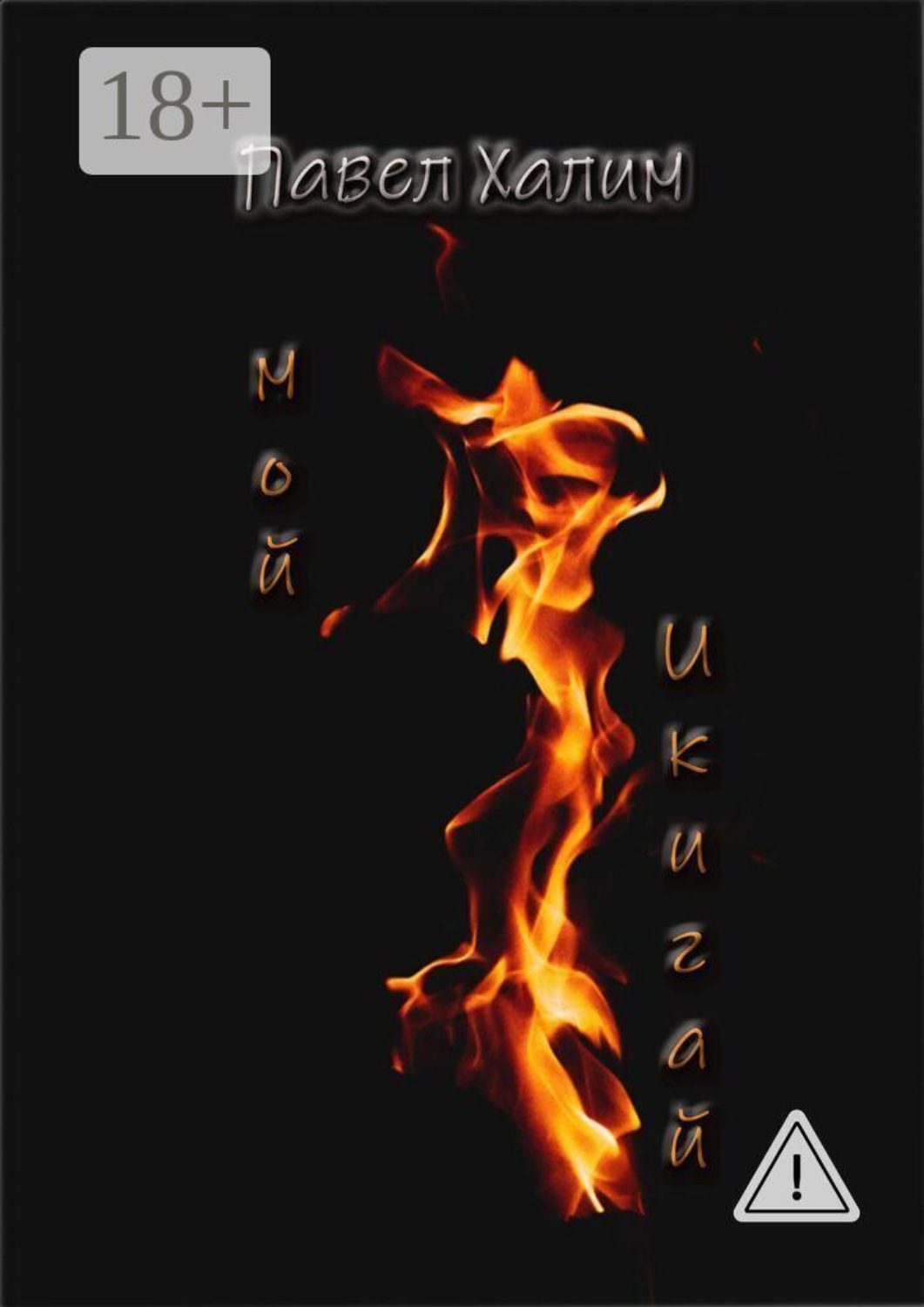 Обложка книги «Мой Икигай. Стихи длиною в жизнь…»
