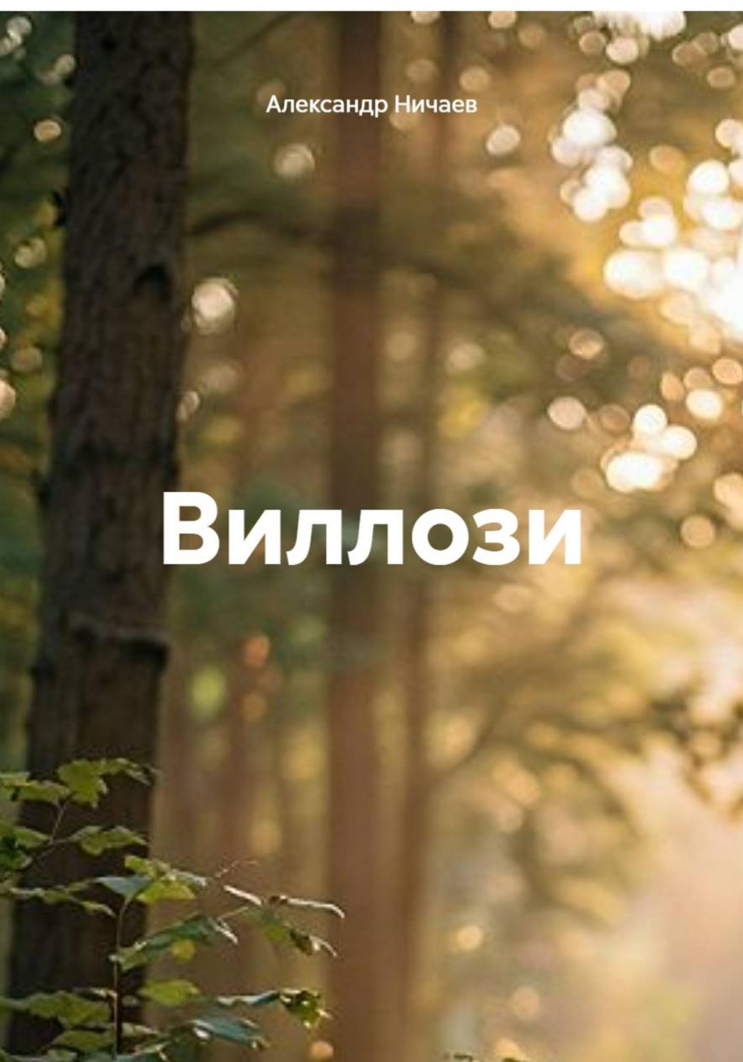 Обложка книги «Виллози»