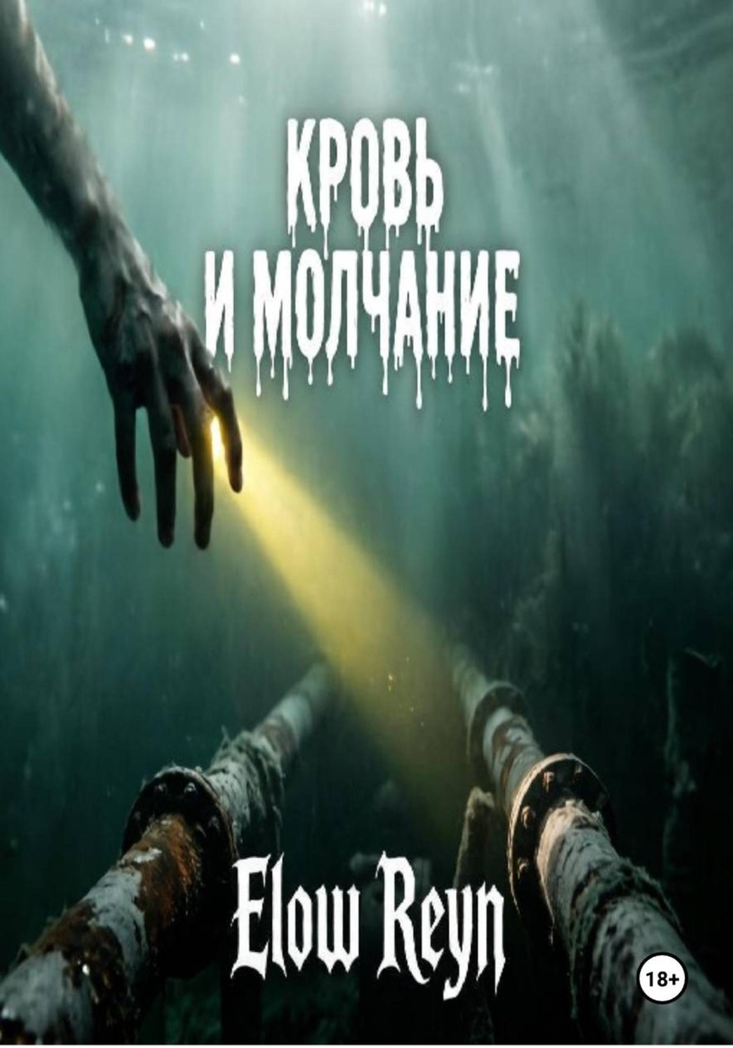 Обложка книги «Кровь и молчание»