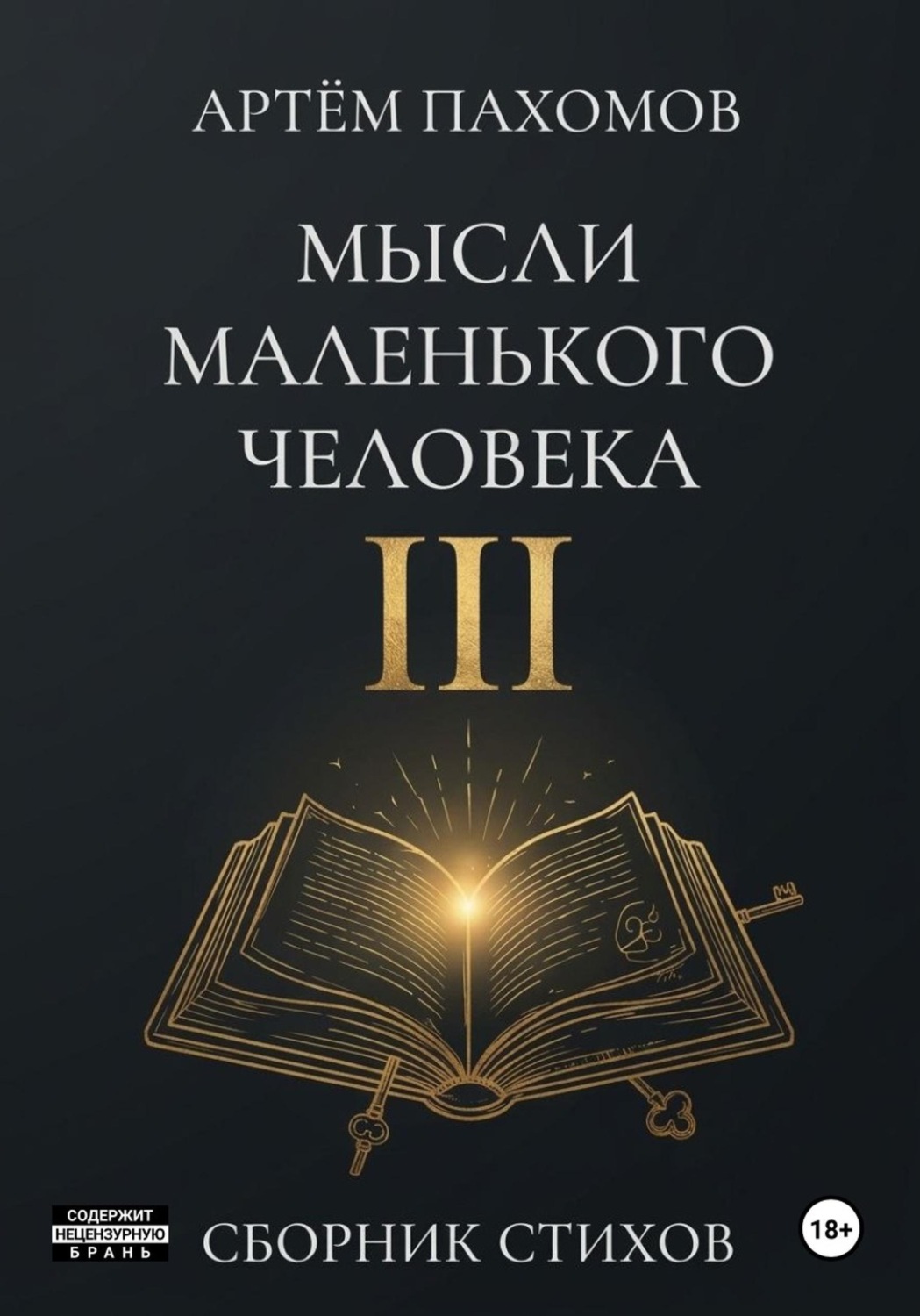 Обложка книги «Мысли маленького человека III»