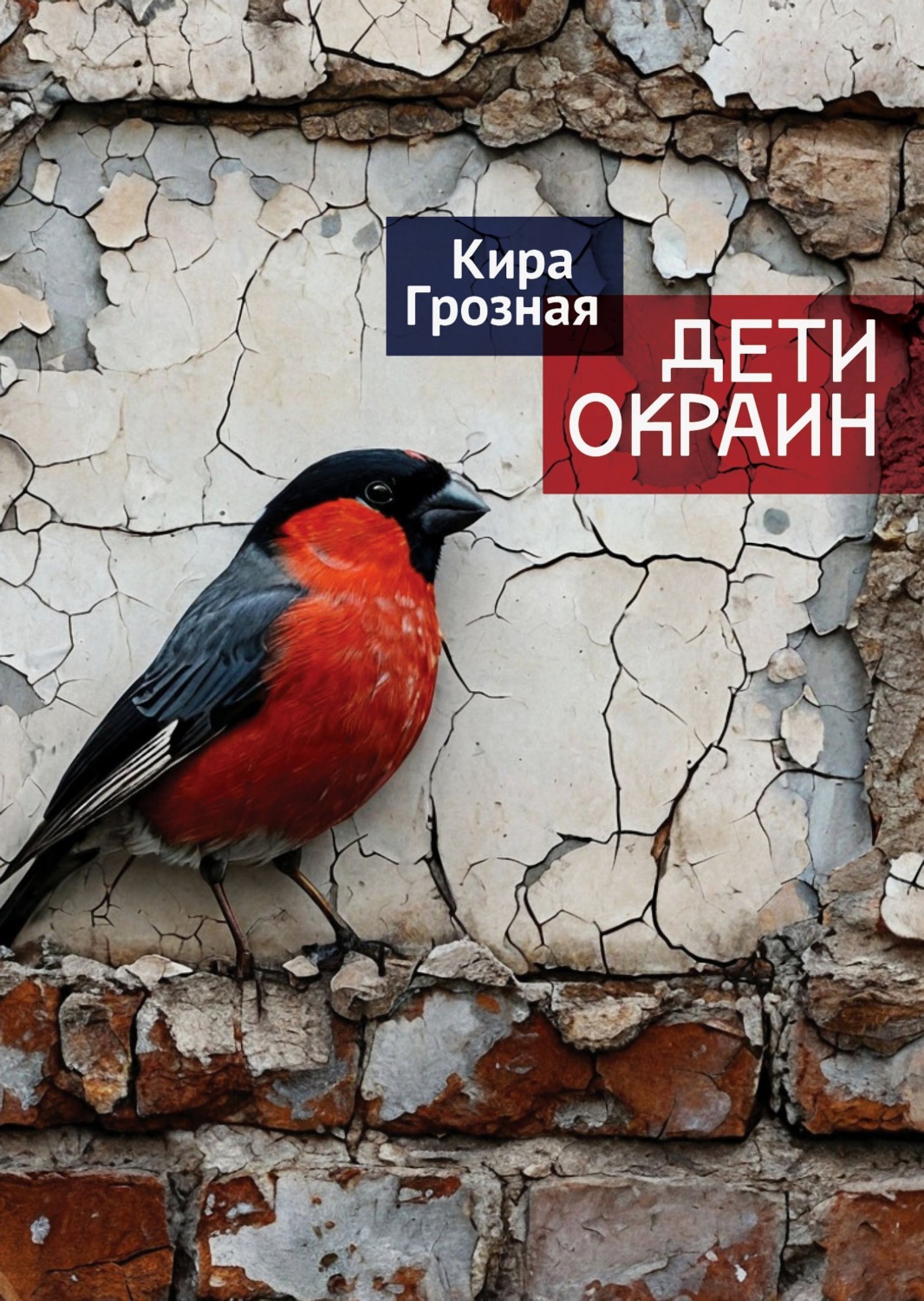 Обложка книги «Дети окраин»