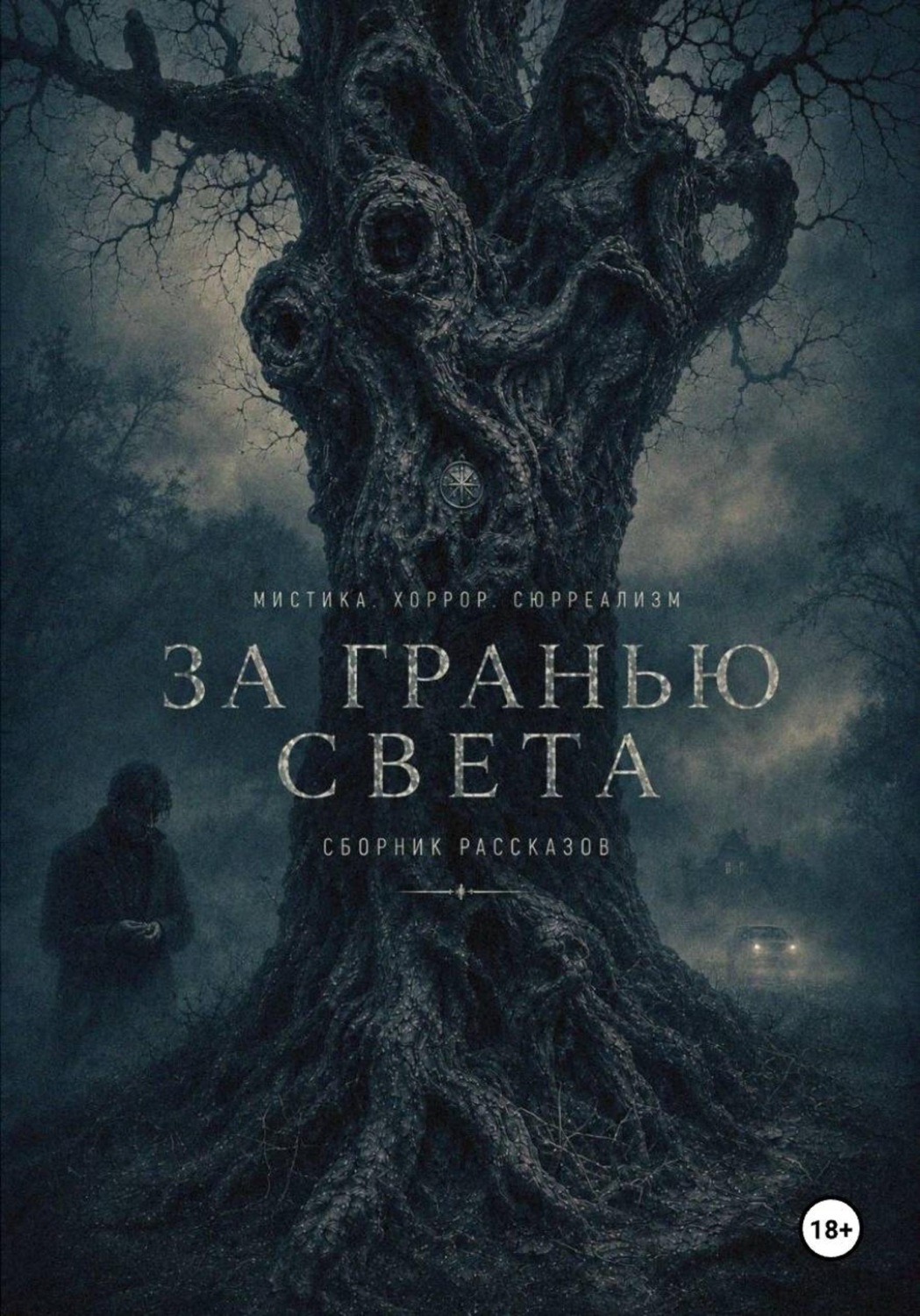Обложка книги «За гранью света»