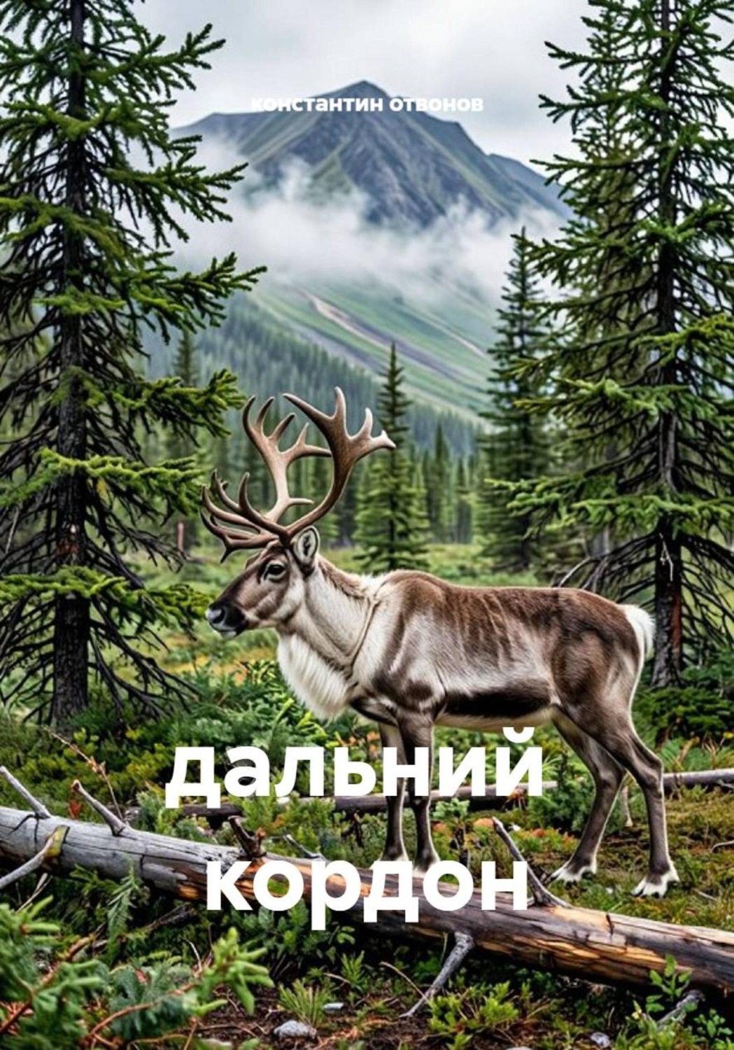 Обложка книги «Дальний кордон»