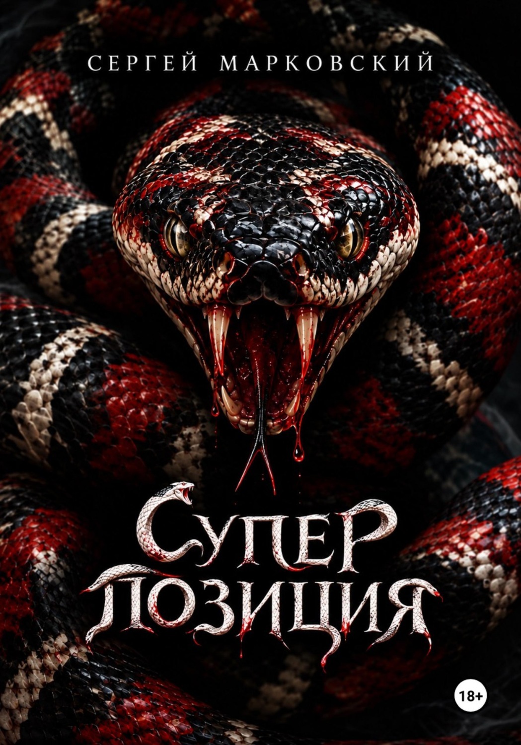 Обложка книги «Суперпозиция»