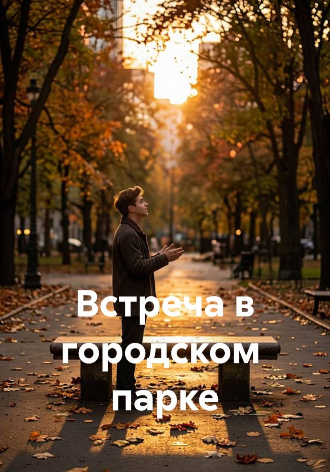 Обложка книги «Встреча в городском парке»