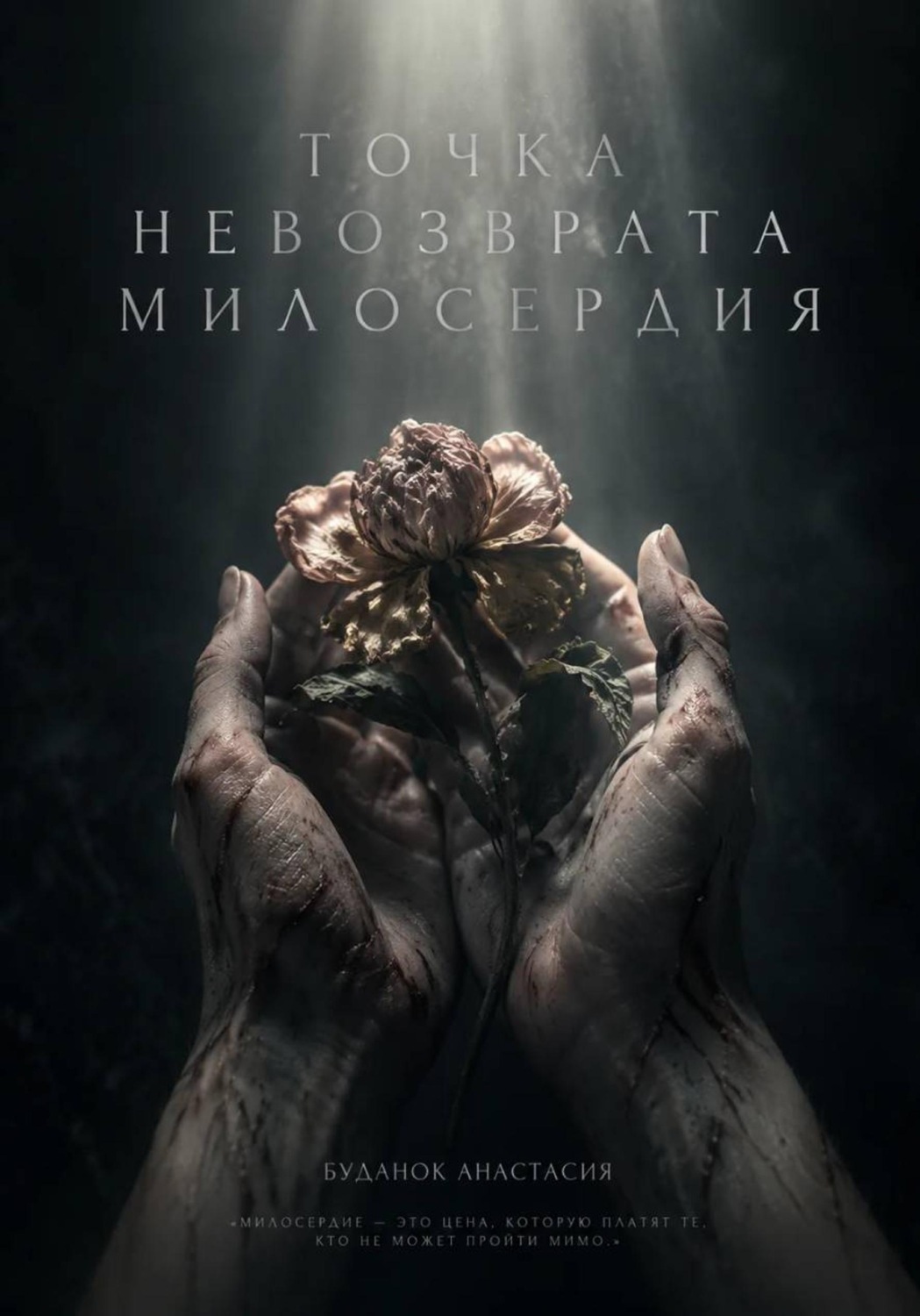 Обложка книги «Точка невозврата милосердия»