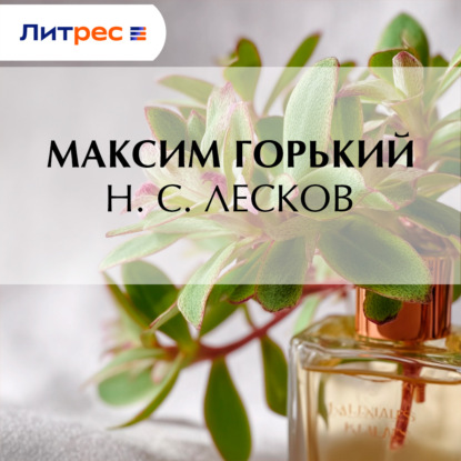 Обложка книги «Н. С. Лесков»
