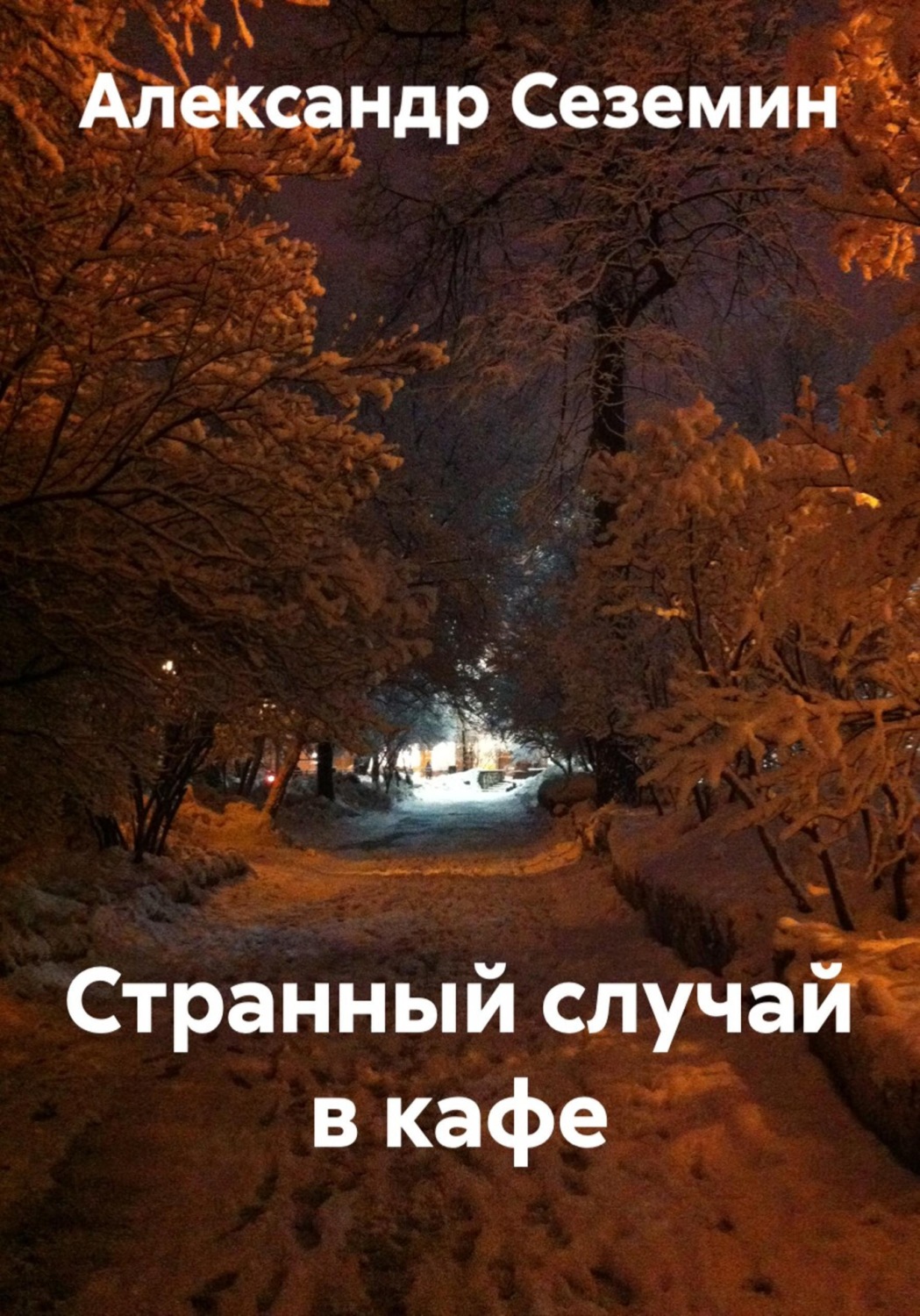 Обложка книги «Странный случай в кафе»