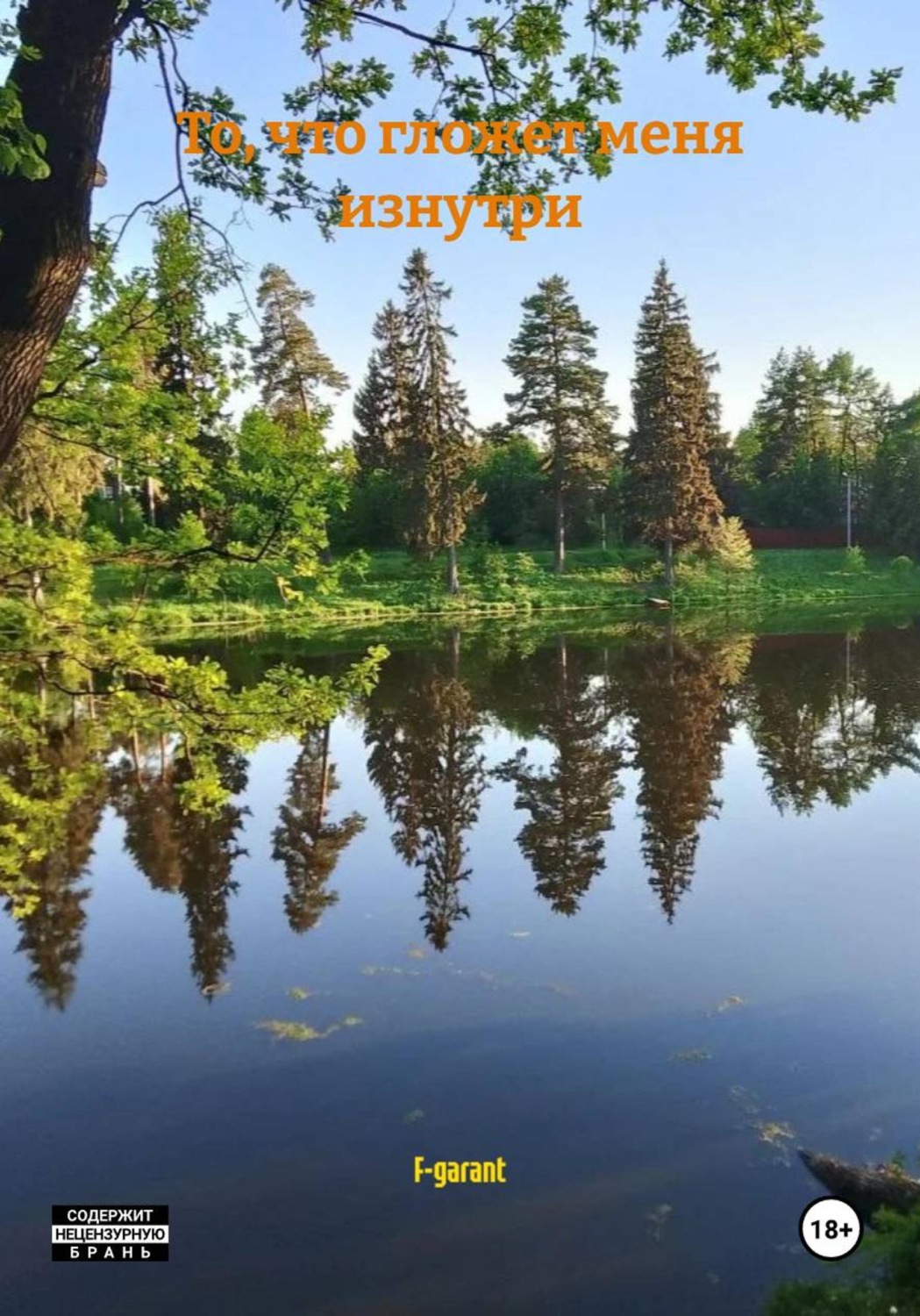 Обложка книги «То, что гложет меня изнутри»