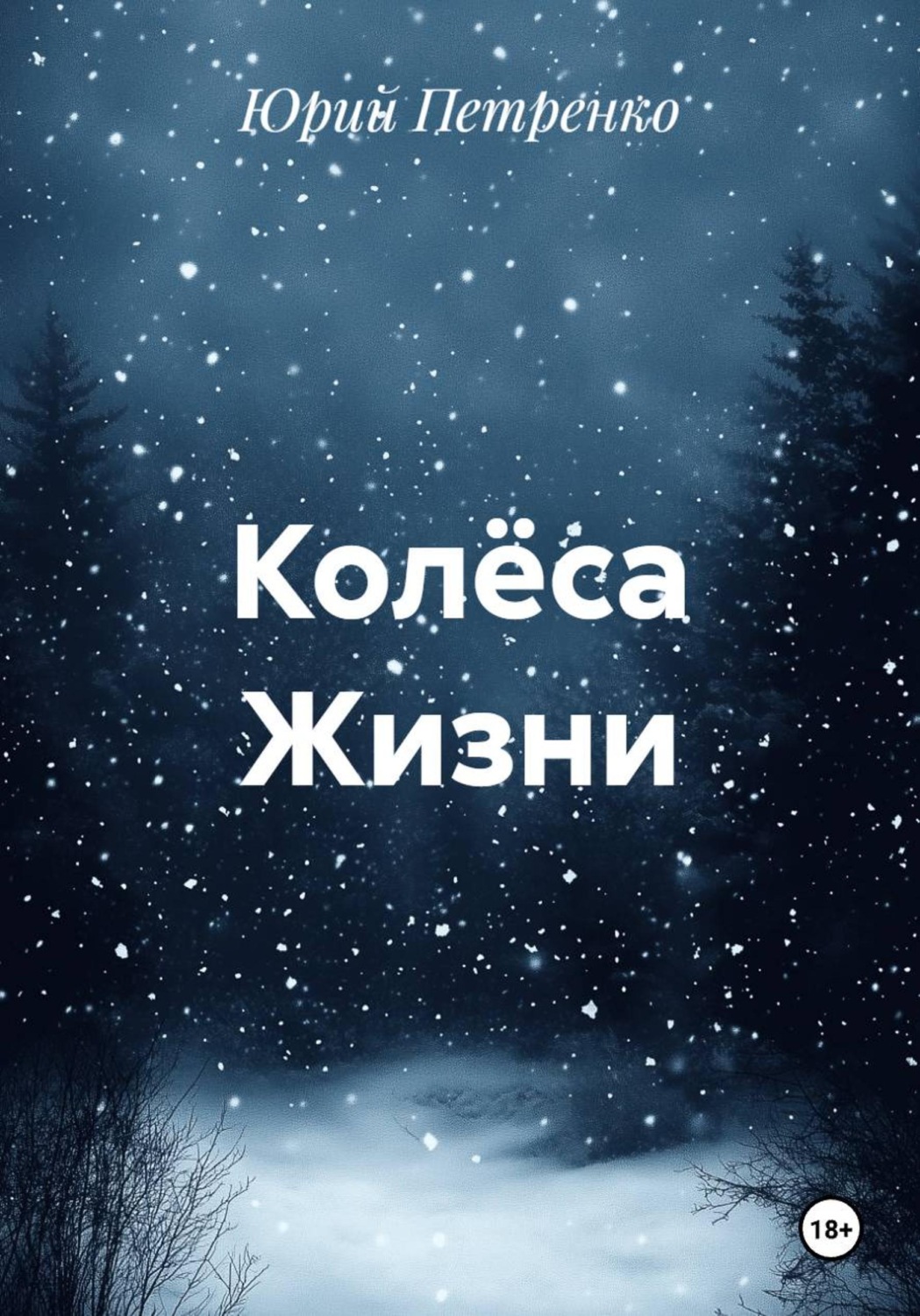 Обложка книги «Колёса Жизни»