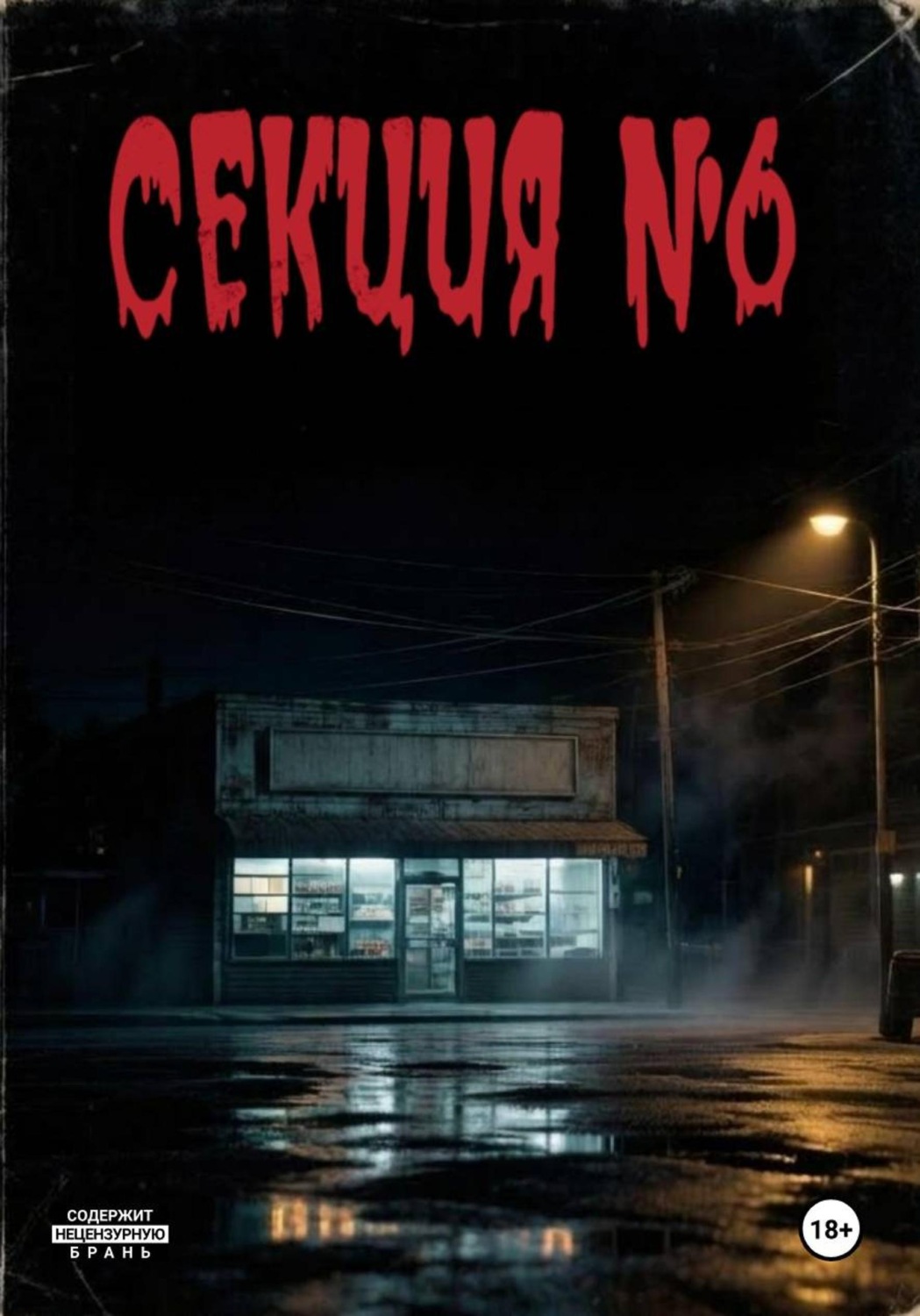 Обложка книги «Секция 6»