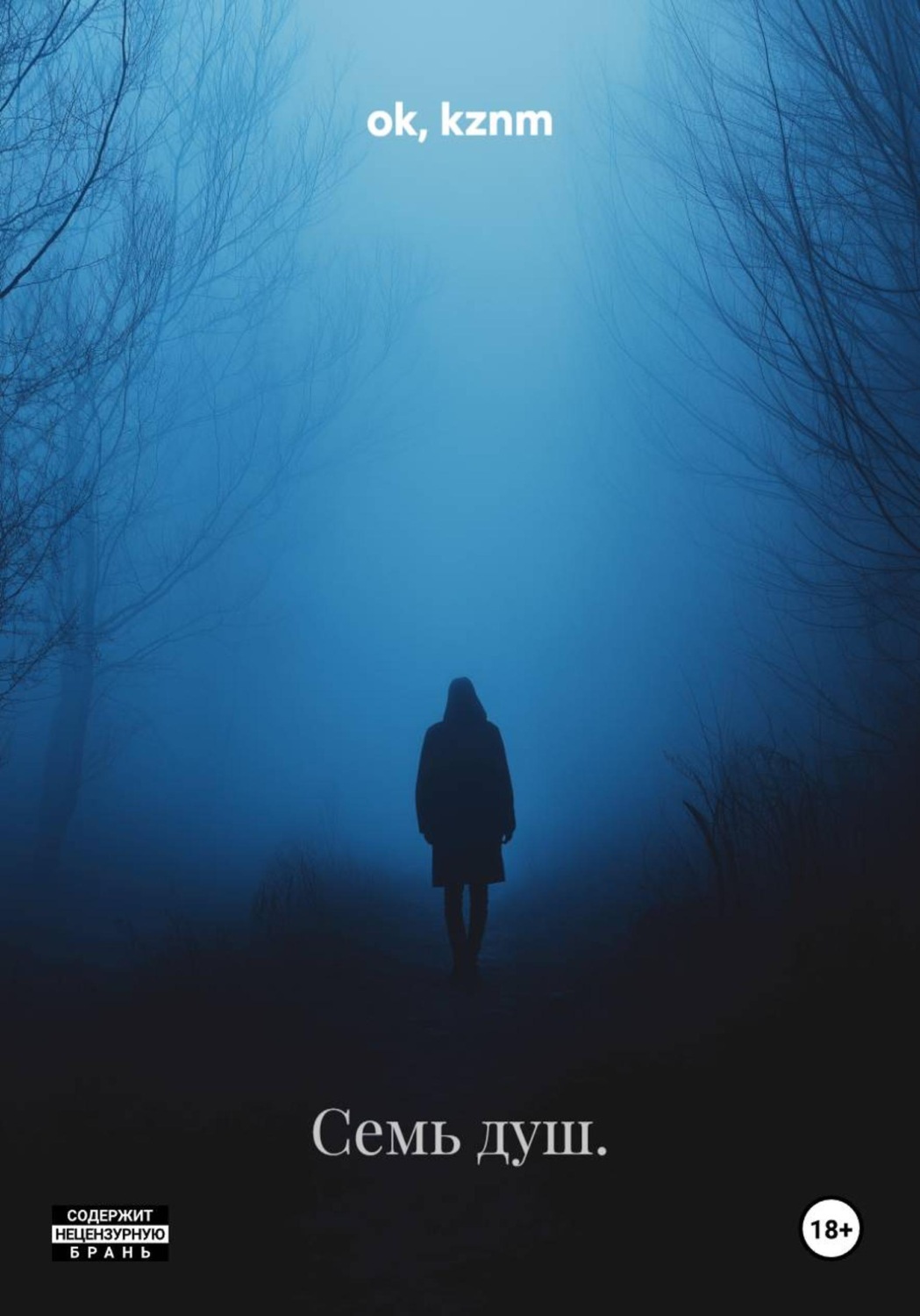 Обложка книги «Семь душ.»