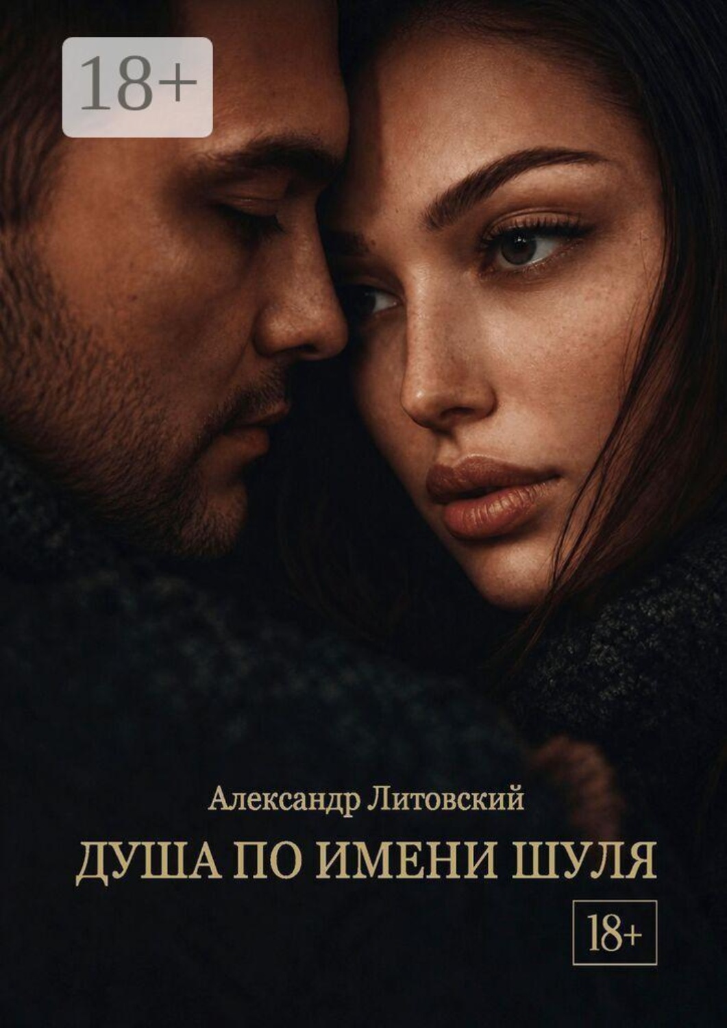 Обложка книги «Душа по имени Шуля»