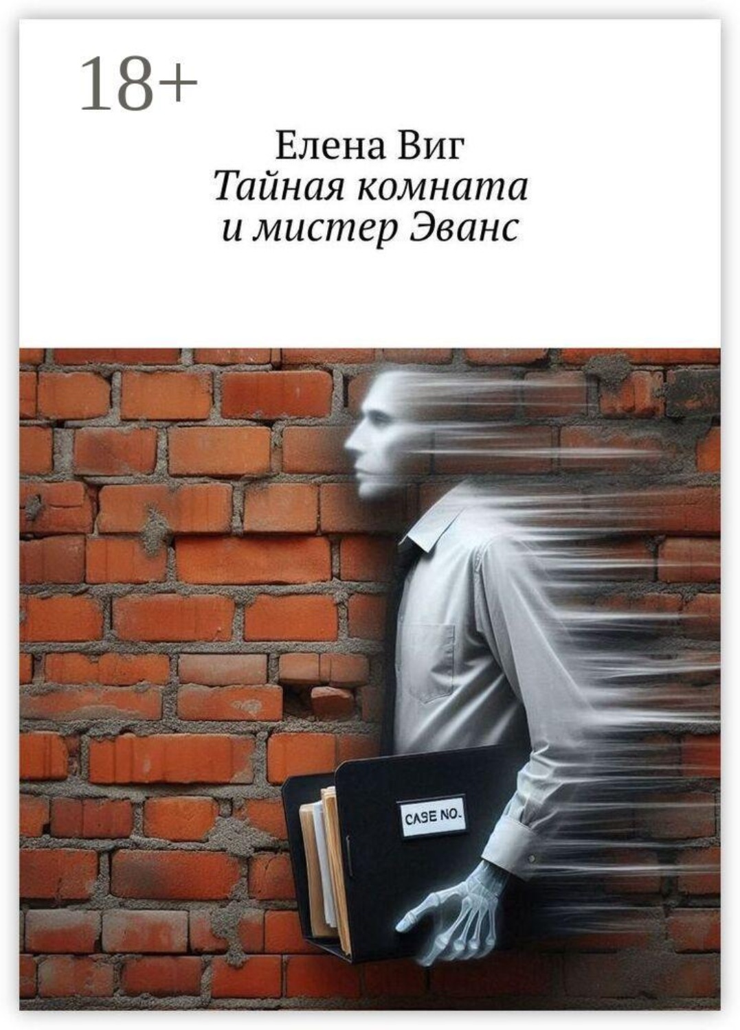 Обложка книги «Тайная комната и мистер Эванс»