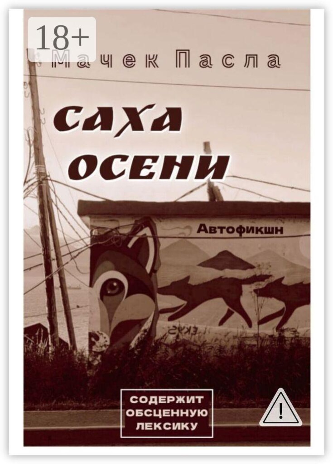 Обложка книги «Саха осени»