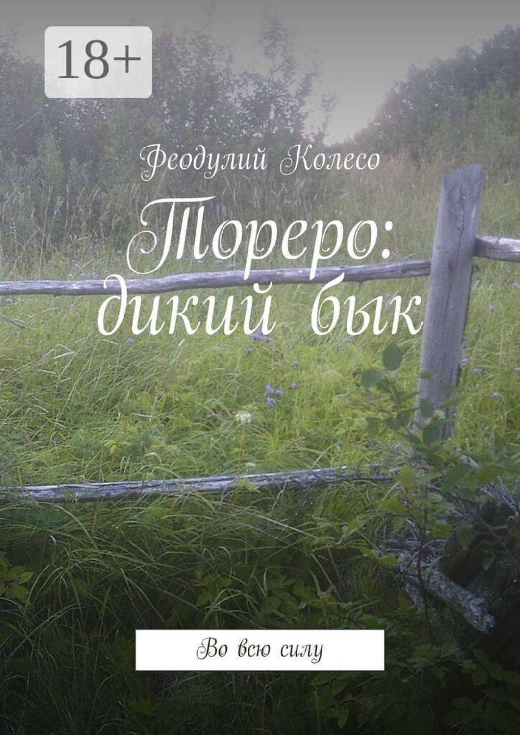 Обложка книги «Тореро: дикий бык. Во всю силу»