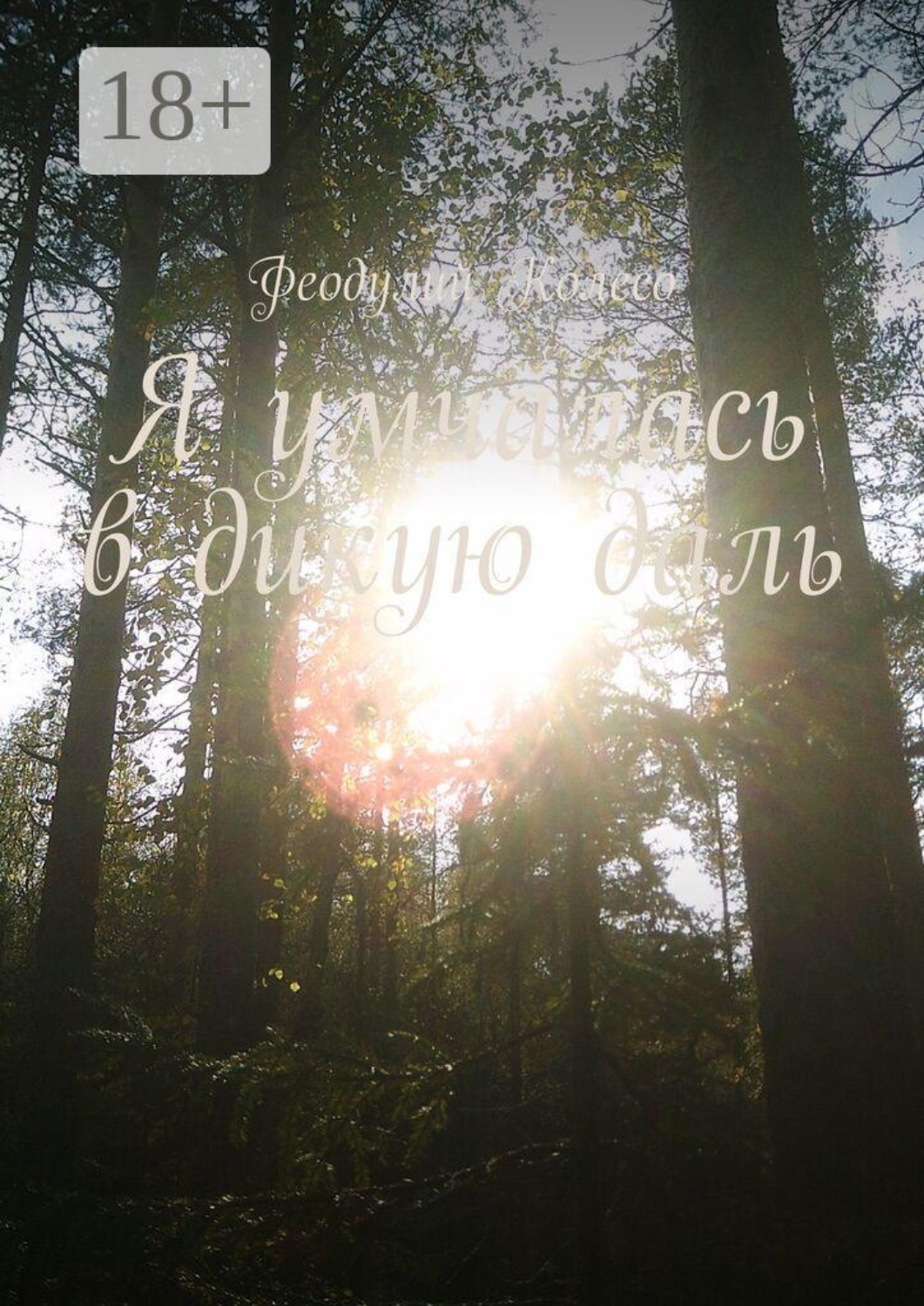 Обложка книги «Я умчалась в дикую даль»