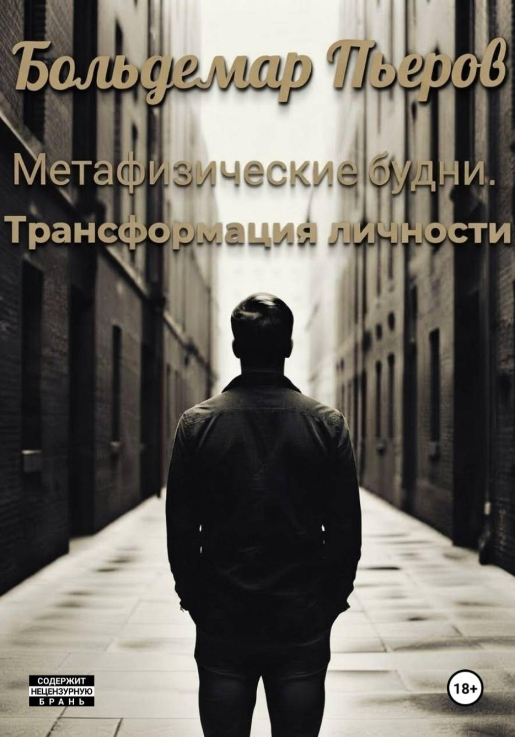 Обложка книги «Метафизические будни. Трансформация личности»
