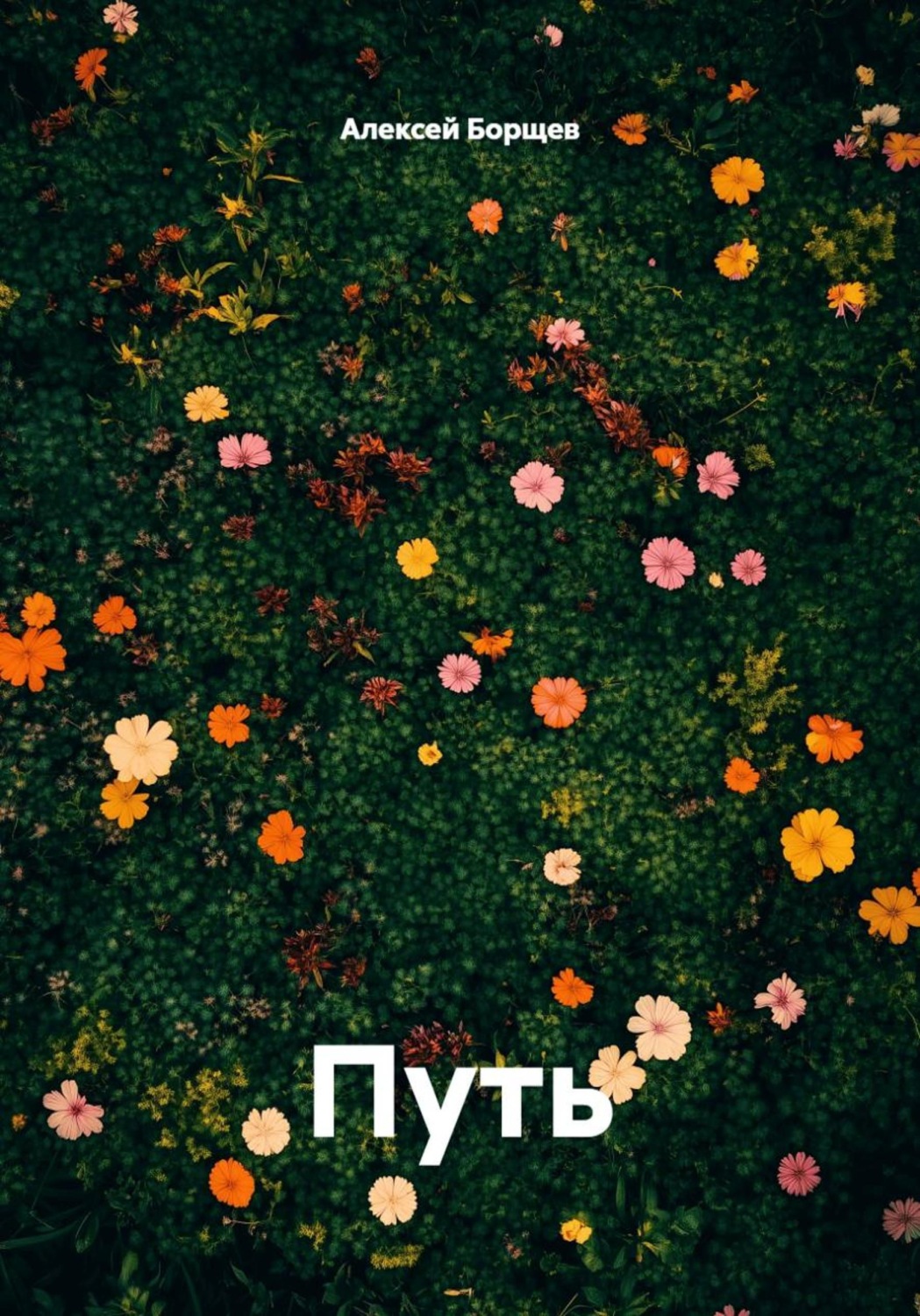 Обложка книги «Путь»