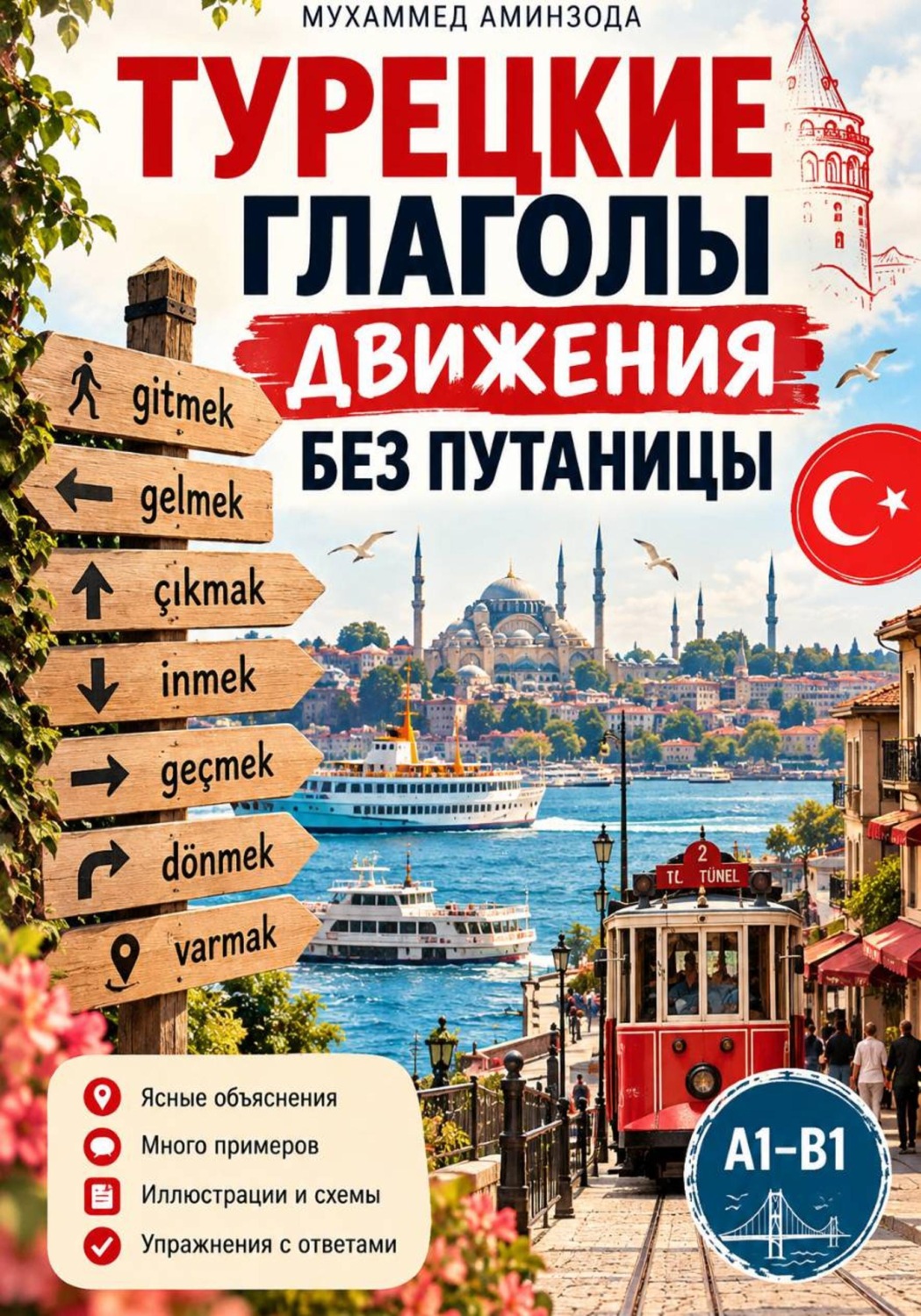 Обложка книги «Турецкие глаголы движения без путаницы»
