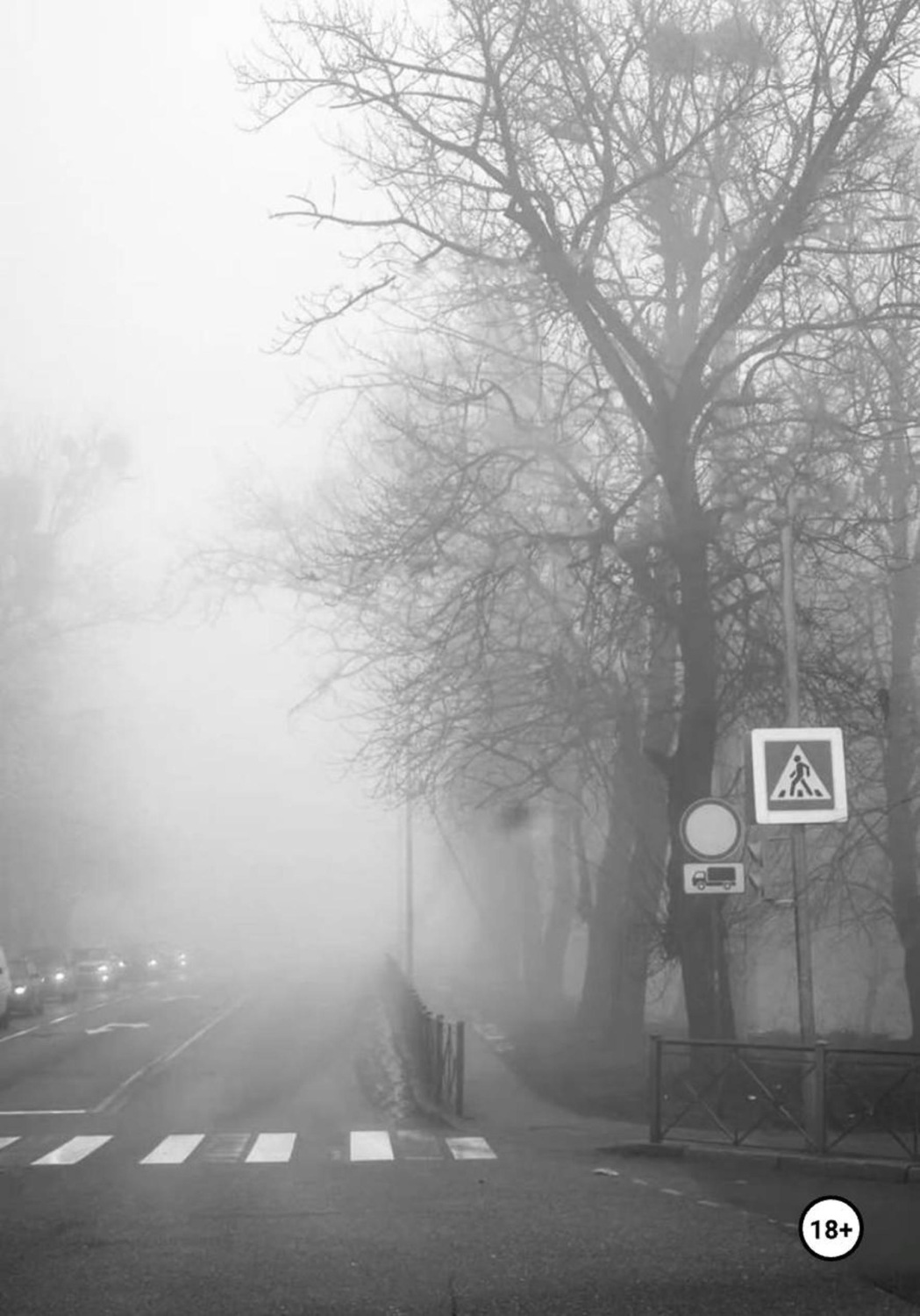 Обложка книги «Окозавшись' в _тумане»