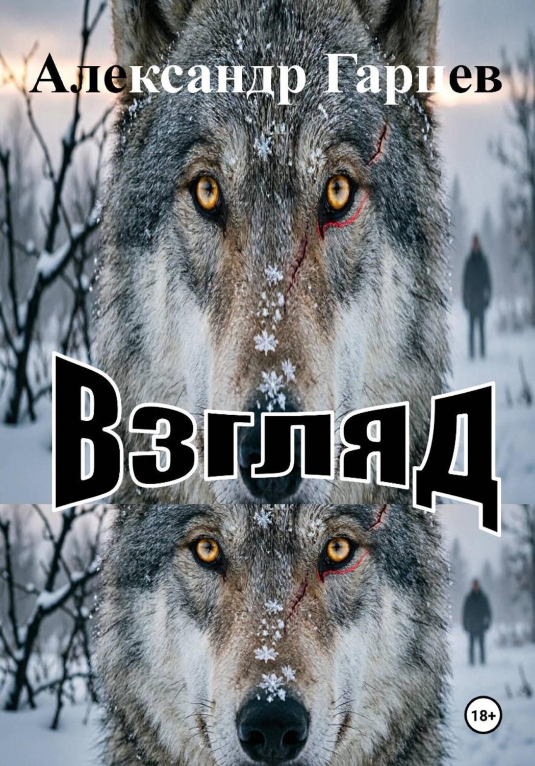 Обложка книги «Взгляд»