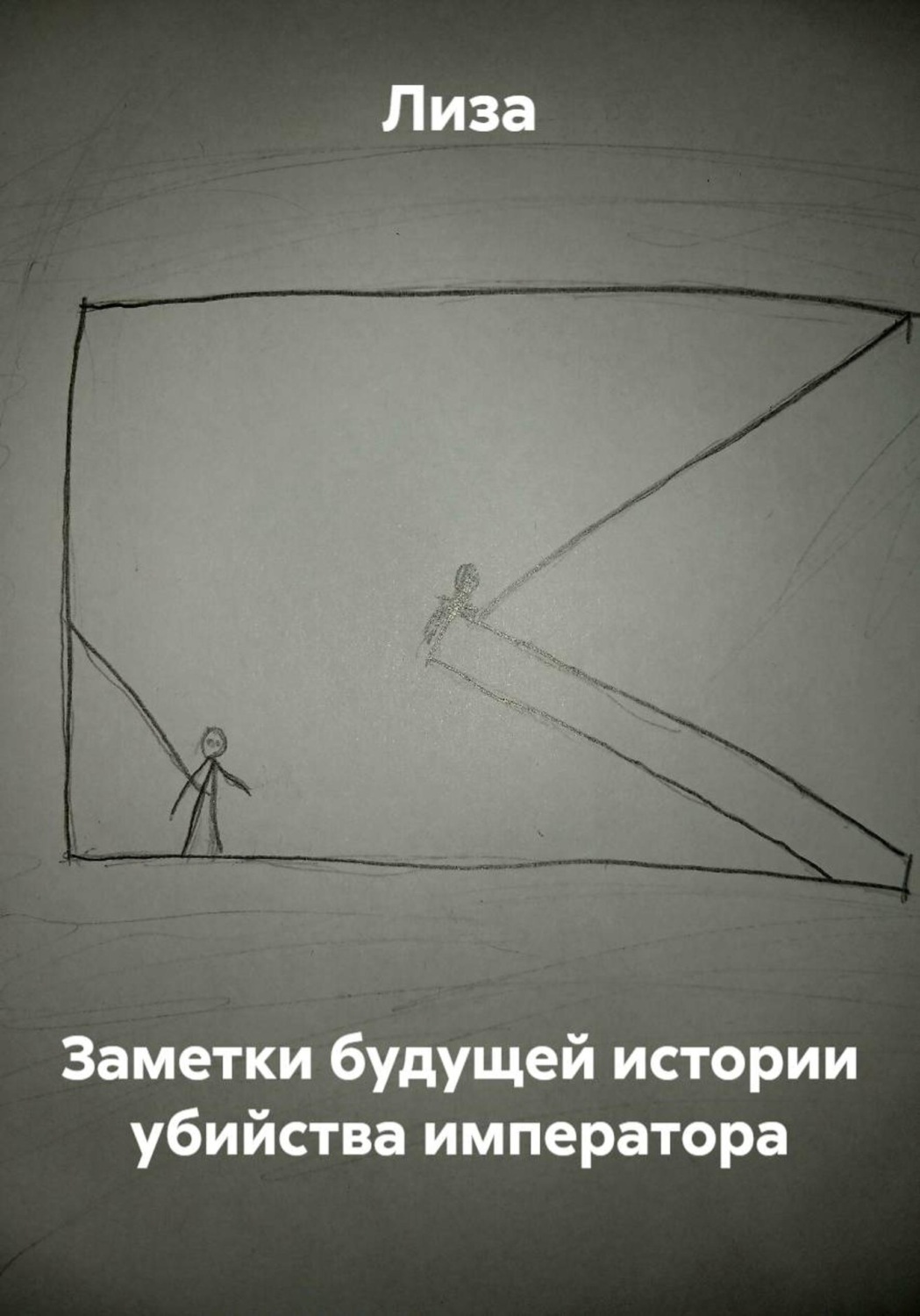 Обложка книги «Заметки будущей истории убийства императора»