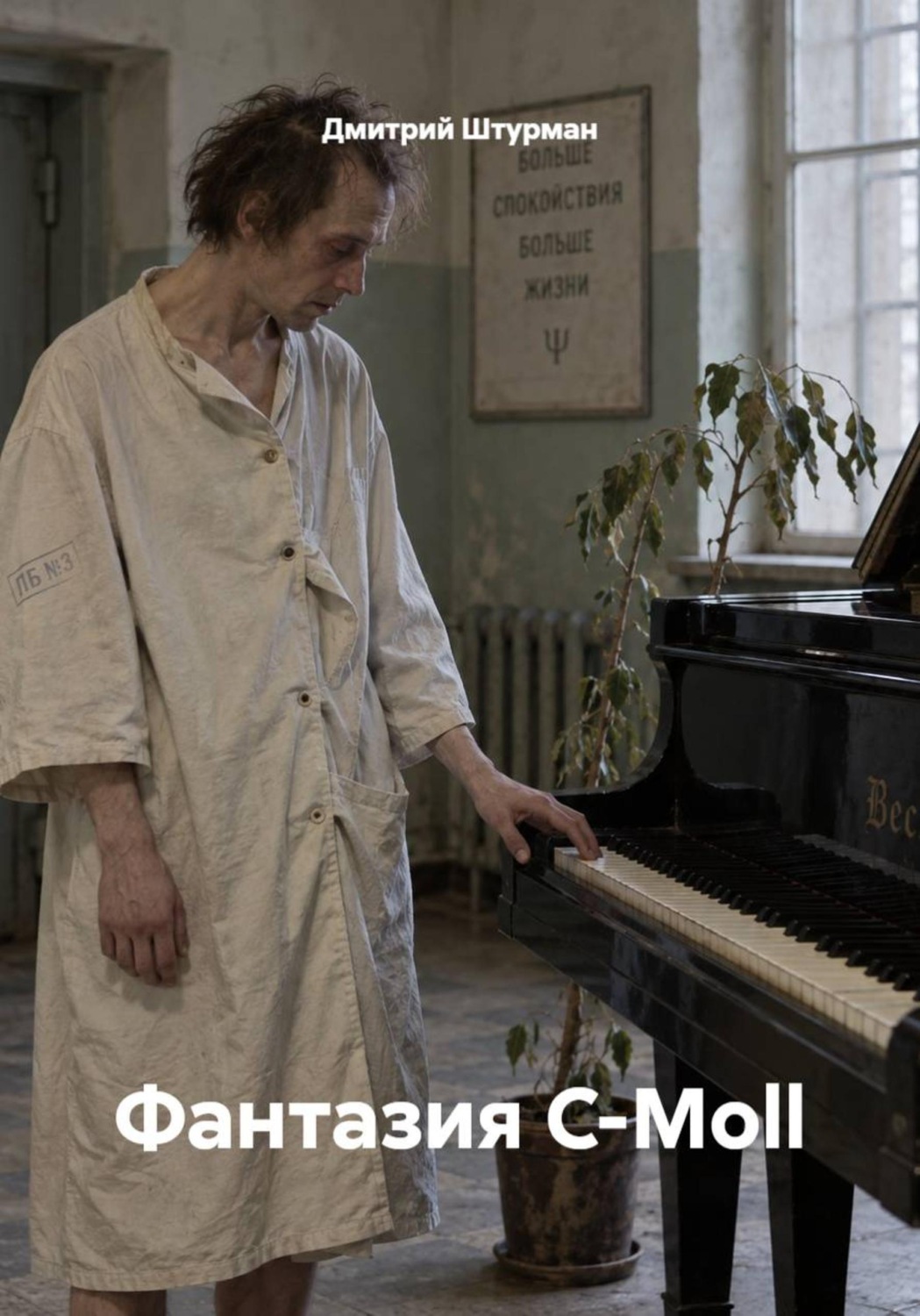 Обложка книги «Фантазия C-Moll»