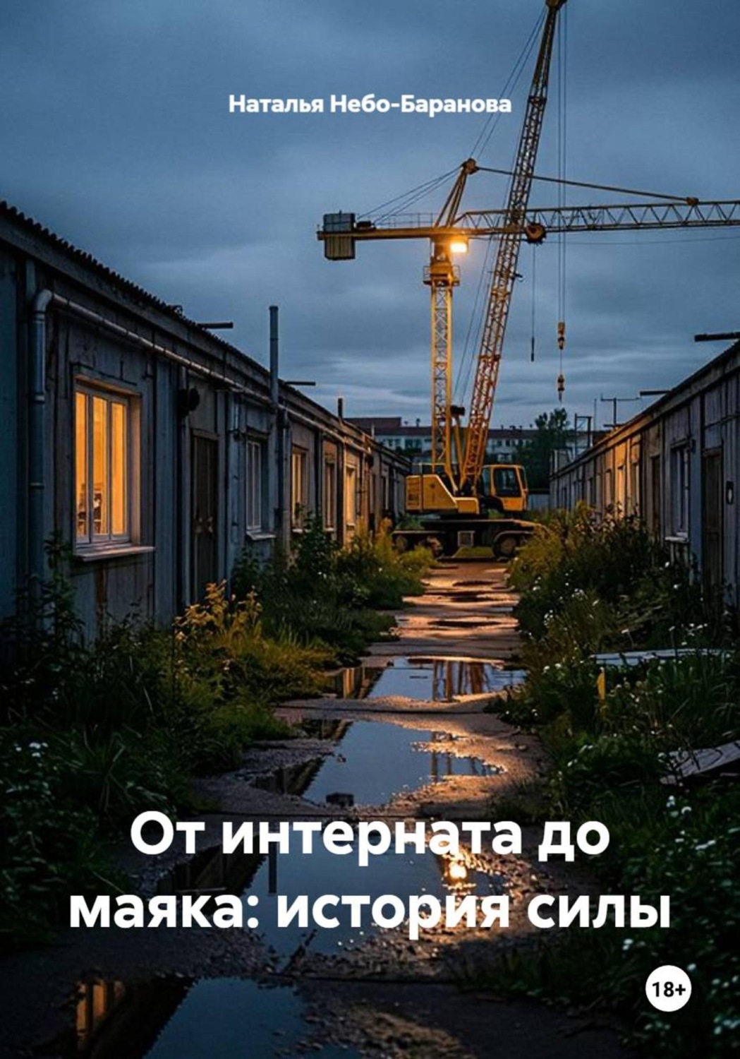 Обложка книги «От интерната до маяка: история силы»