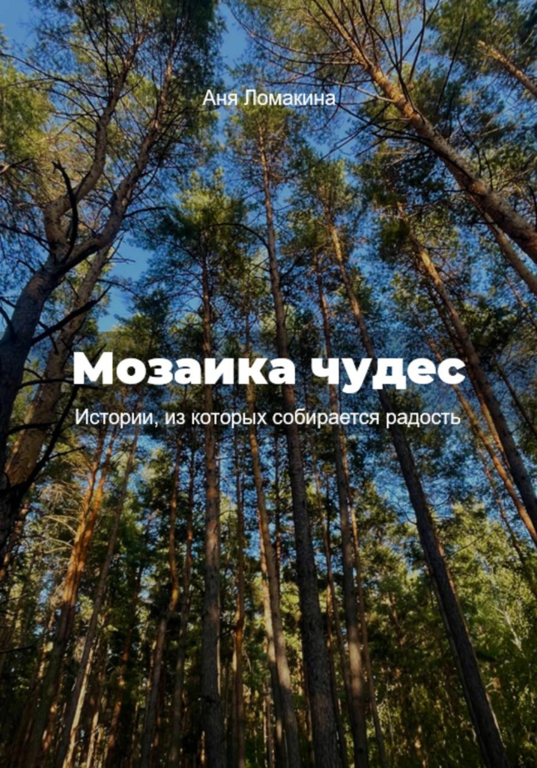 Обложка книги «Мозаика маленьких чудес. Истории, из которых собирается радость»