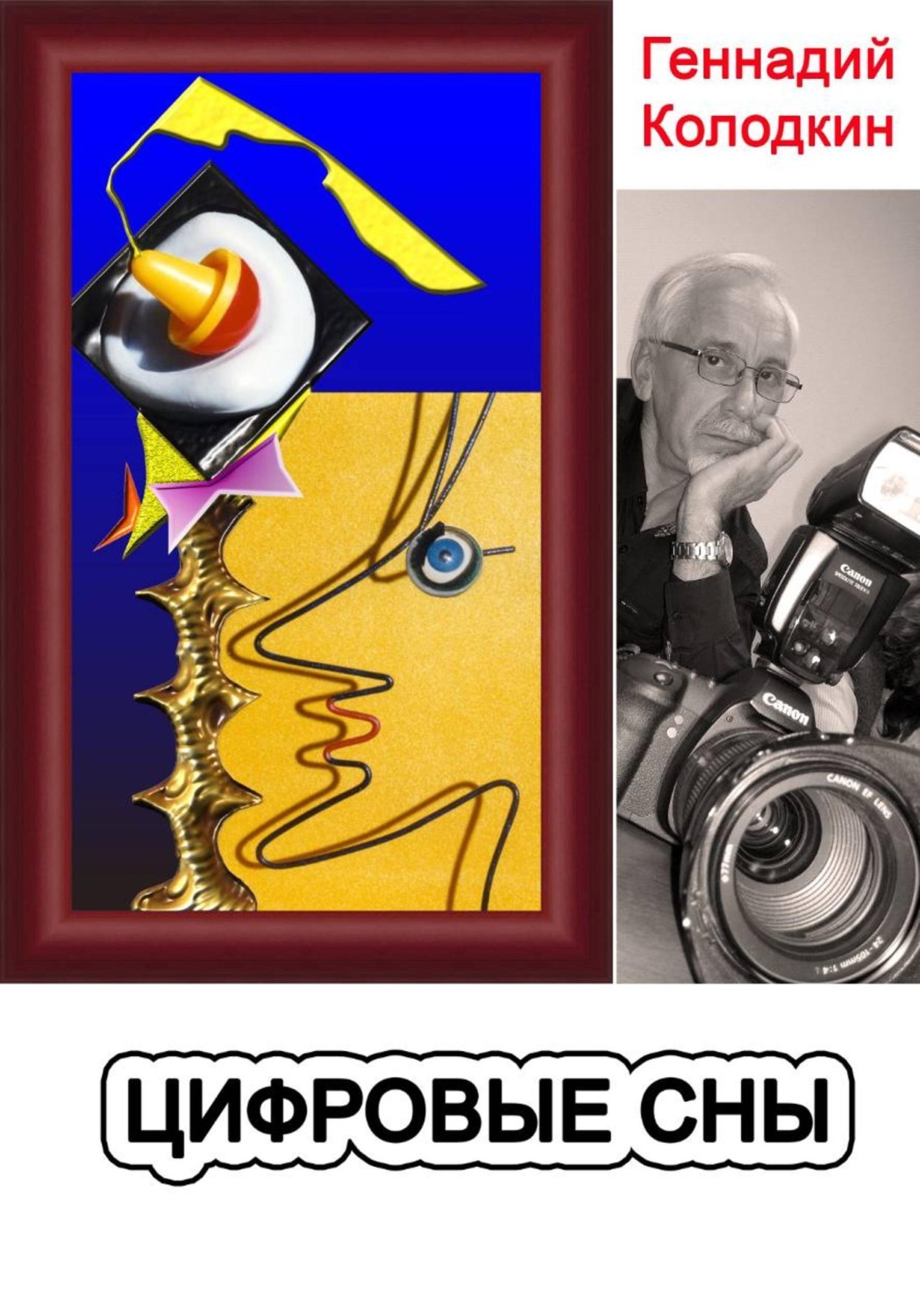 Обложка книги «Цифровые сны»