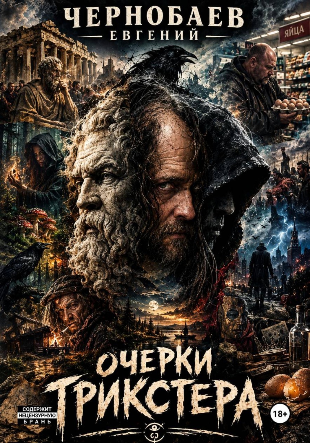 Обложка книги «Заметки Трикстера»
