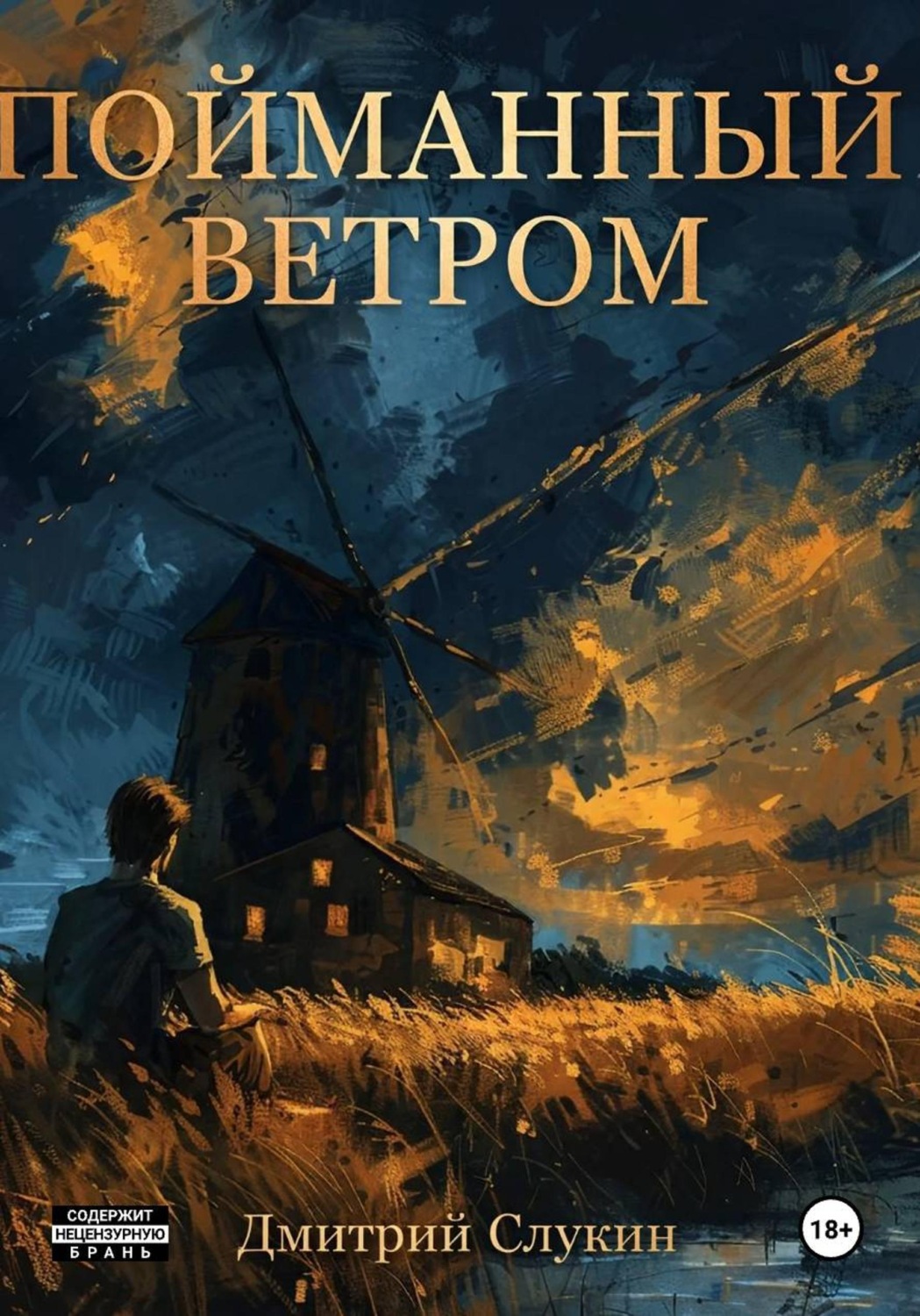 Обложка книги «Пойманный ветром»