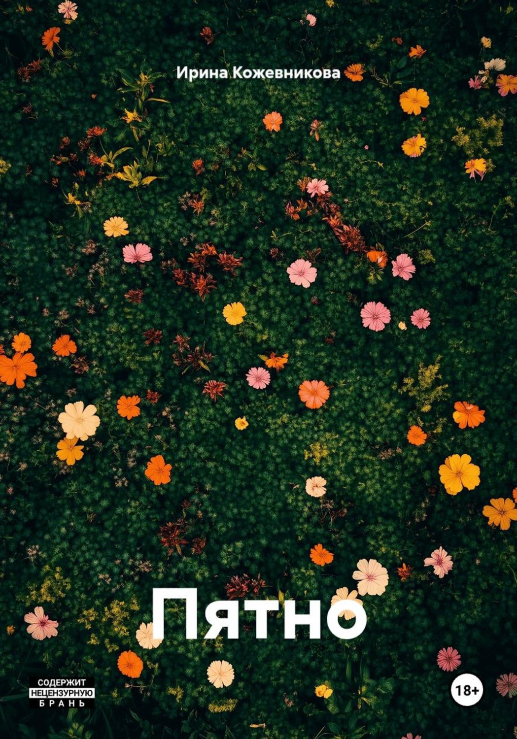 Обложка книги «Пятно»