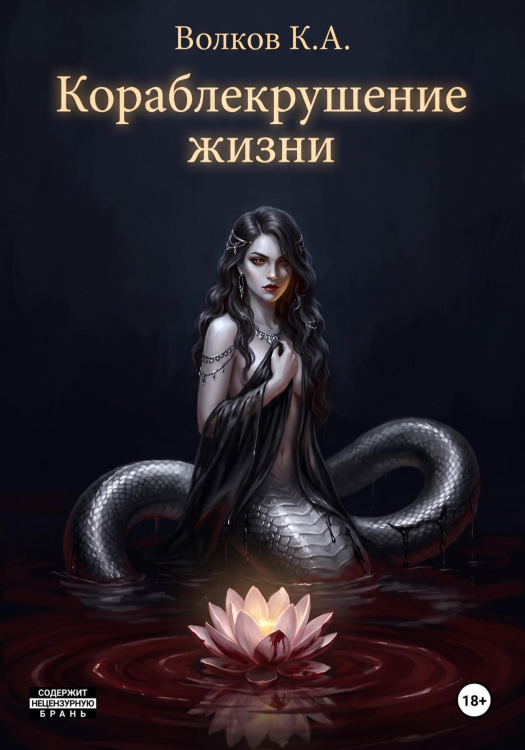 Обложка книги «Кораблекрушение жизни»