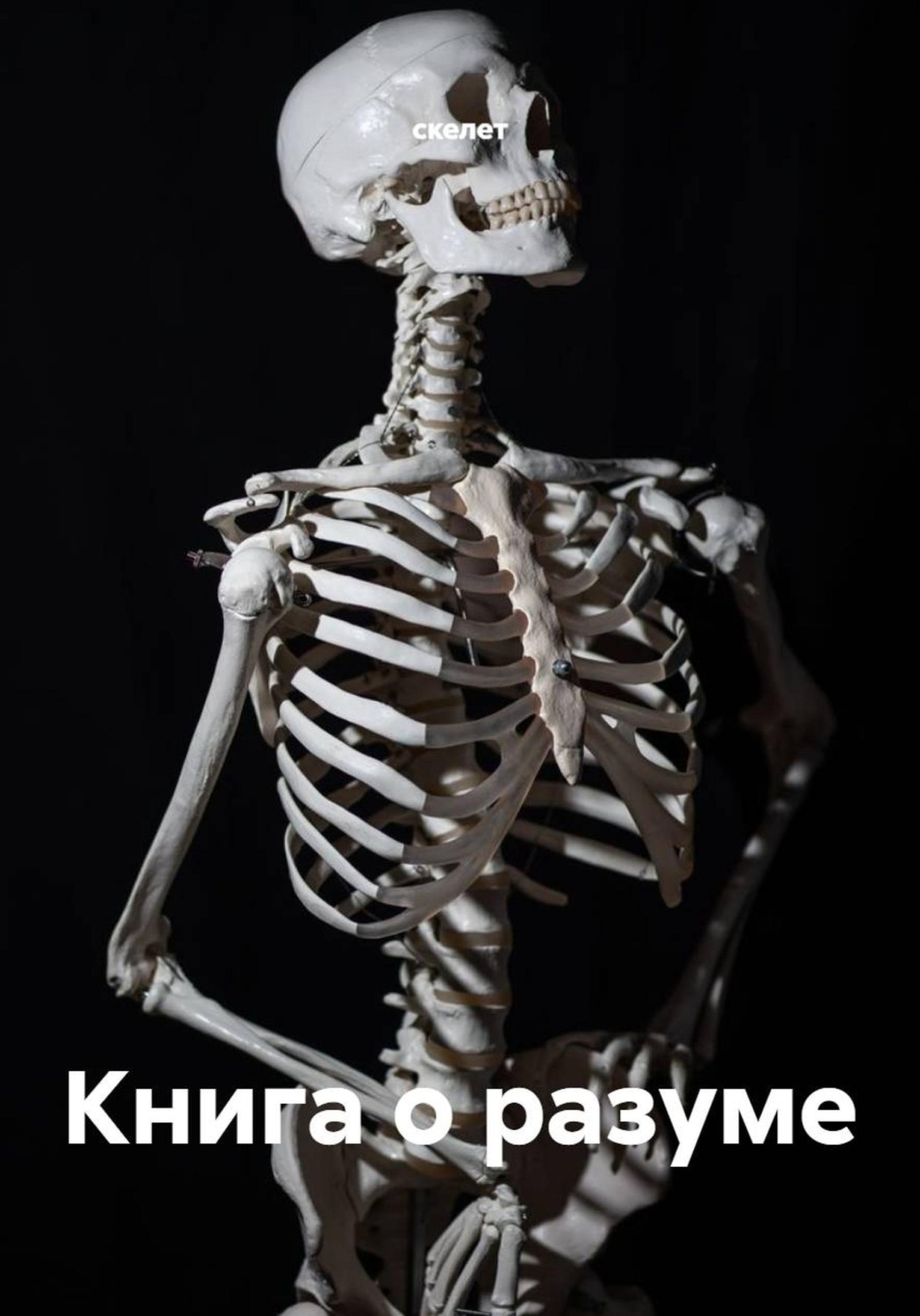 Обложка книги «Книга о разуме»
