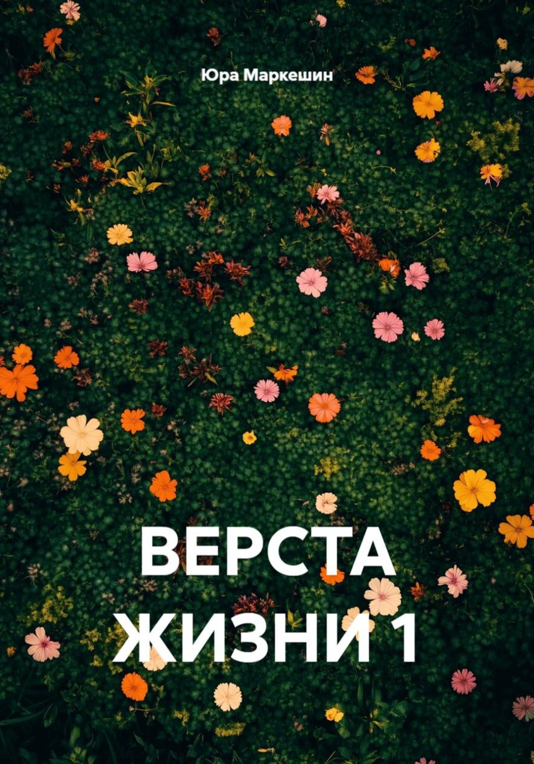 Обложка книги «Верста жизни 1»