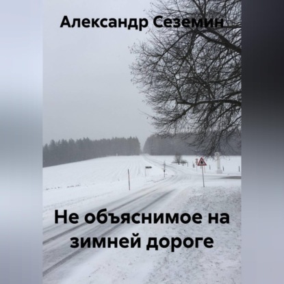Обложка книги «Не объяснимое на зимней дороге»
