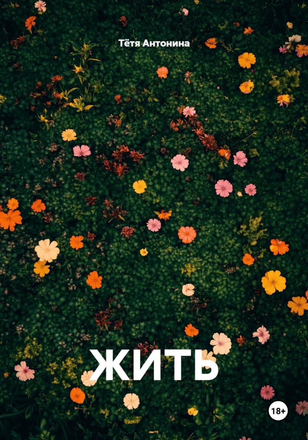 Обложка книги «ЖИТЬ»