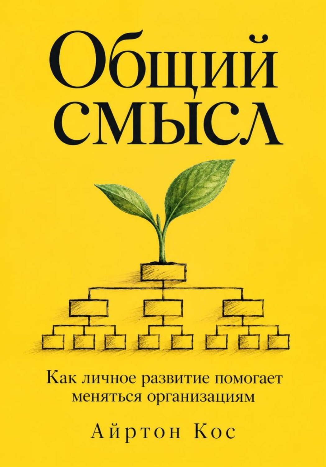 Обложка книги «Общий смысл. Как личное развитие помогает меняться организациям»