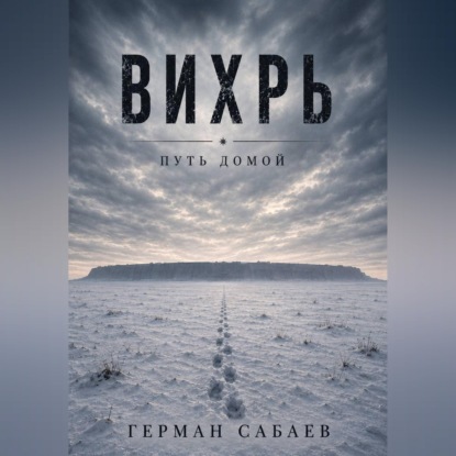 Обложка книги «Вихрь. Путь домой»