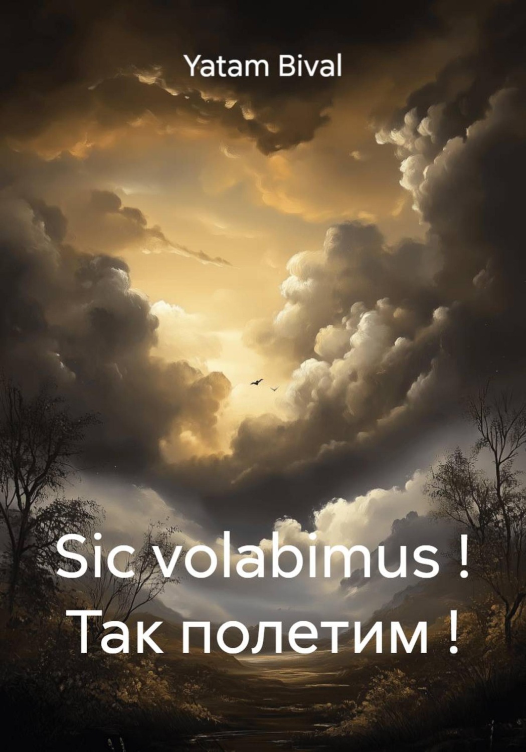 Обложка книги «Sic volabimus ! Так полетим !»