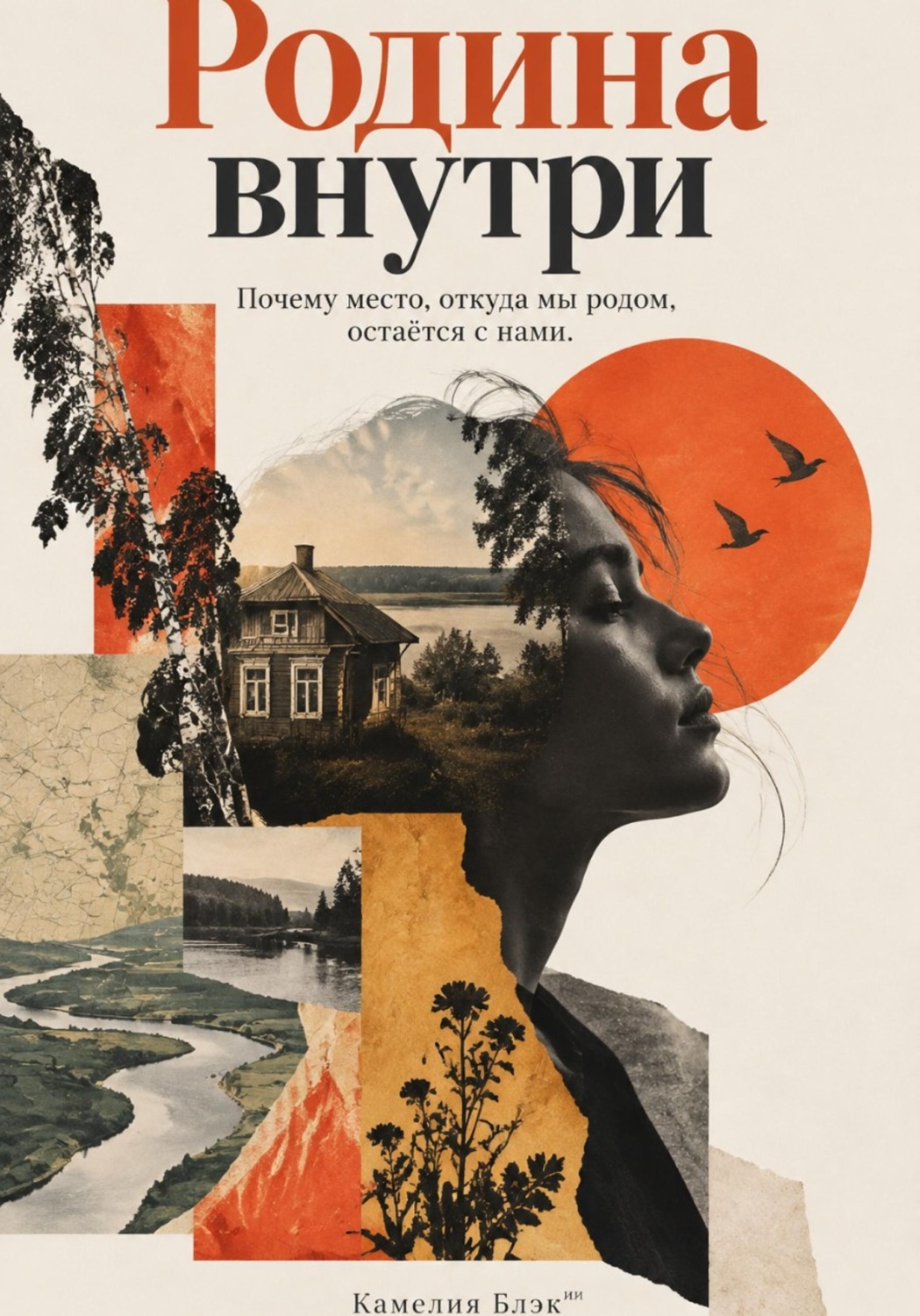 Обложка книги «Родина внутри: Почему место, откуда мы родом, остаётся с нами»