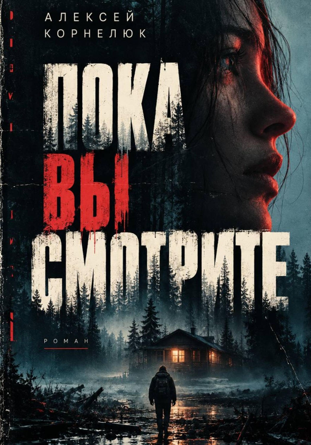 Обложка книги «Пока вы смотрите»