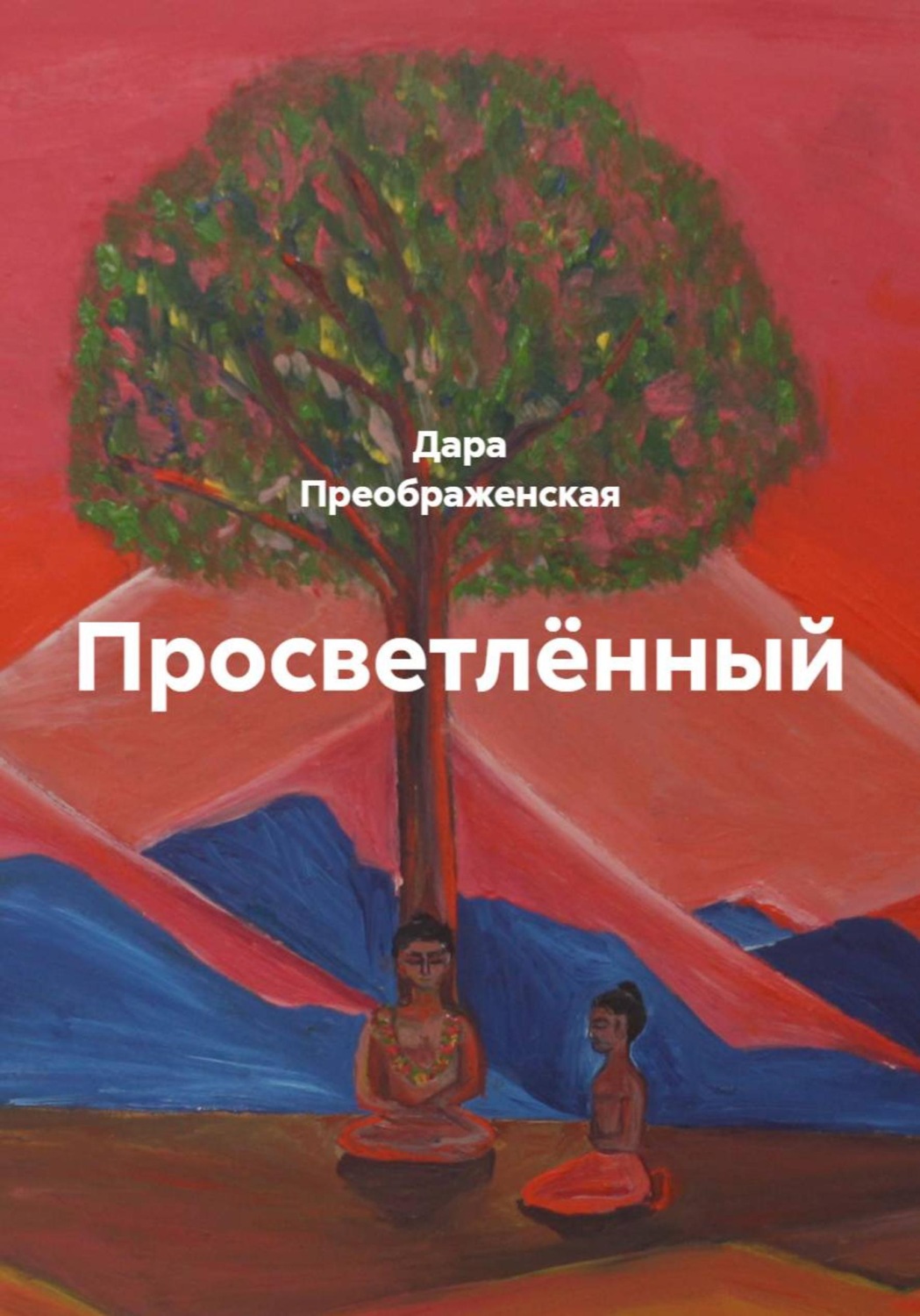 Обложка книги «Просветлённый»