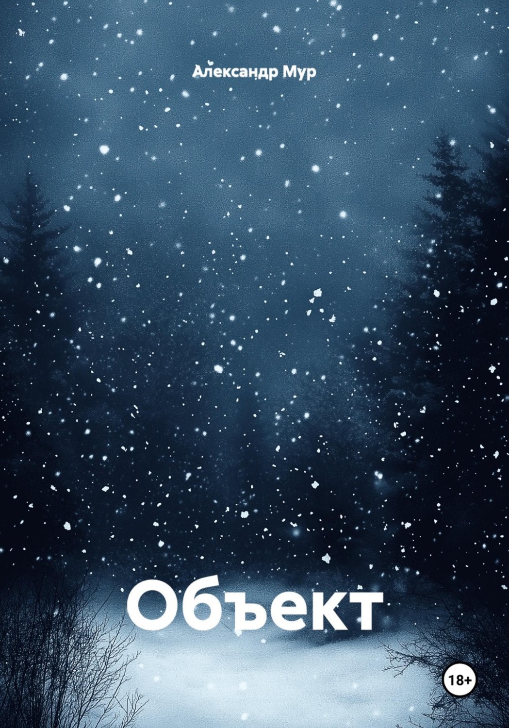 Обложка книги «Объект»