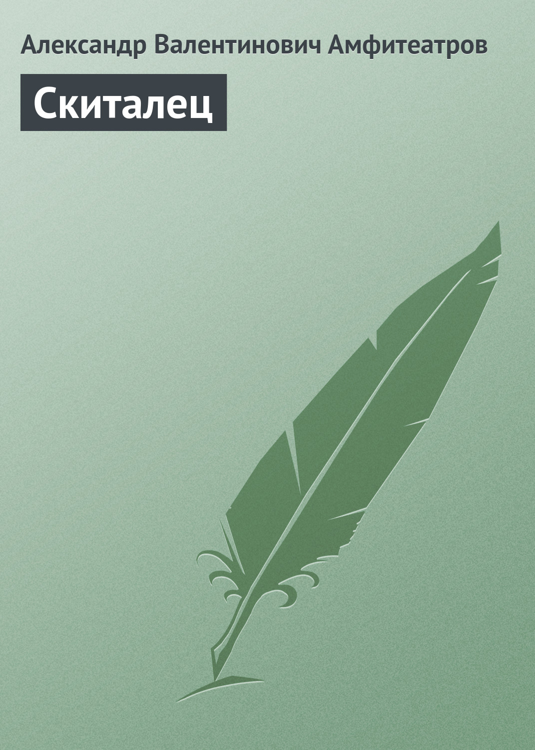 Обложка книги «Скиталец»