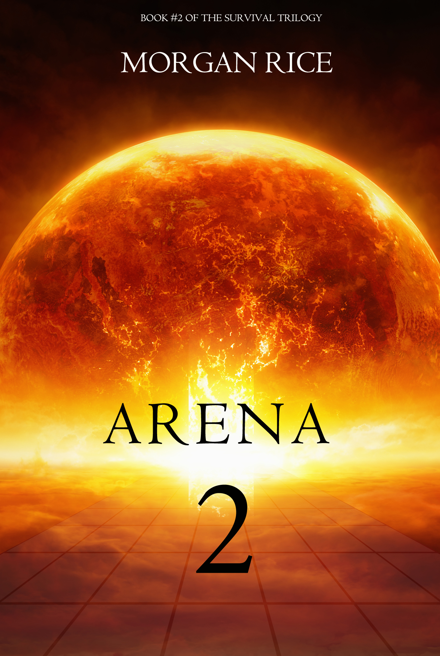 Обложка книги «Arena Two»