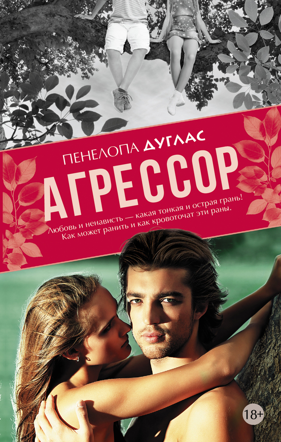 Обложка книги «Агрессор»