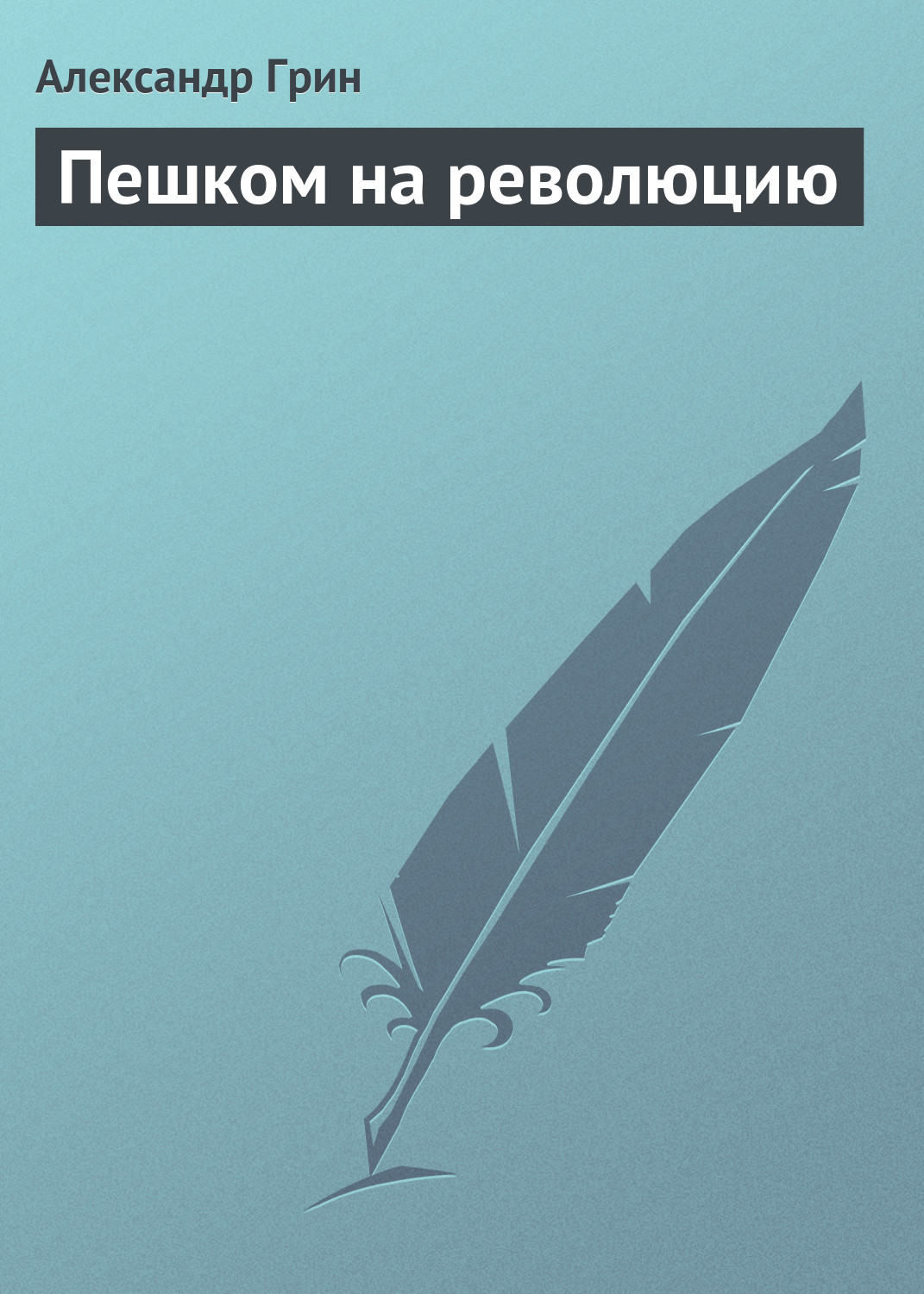 Обложка книги «Пешком на революцию»